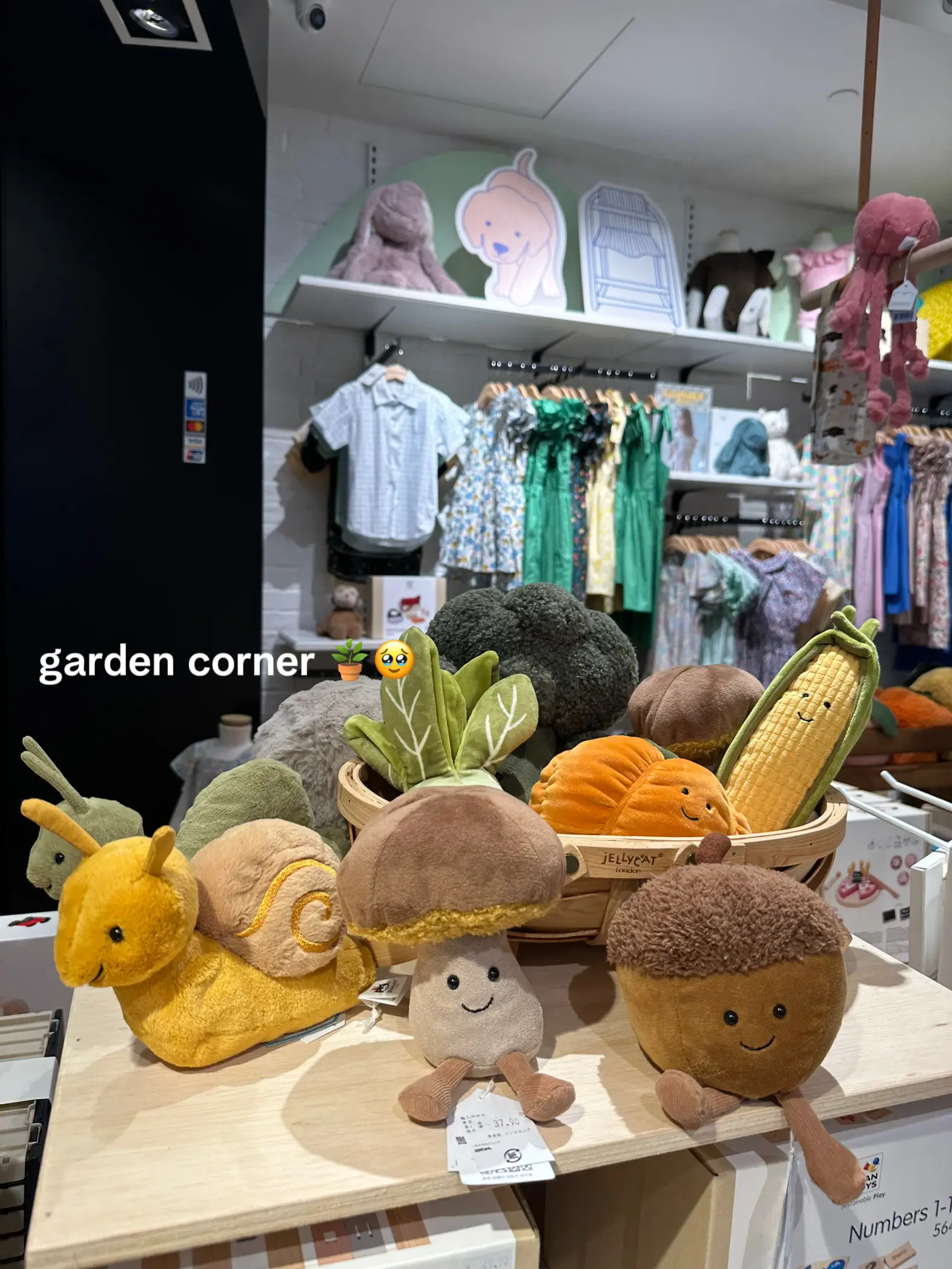 JELLYCATS are the BEST gift idea for your gf 🥹💐 Gallery posted by