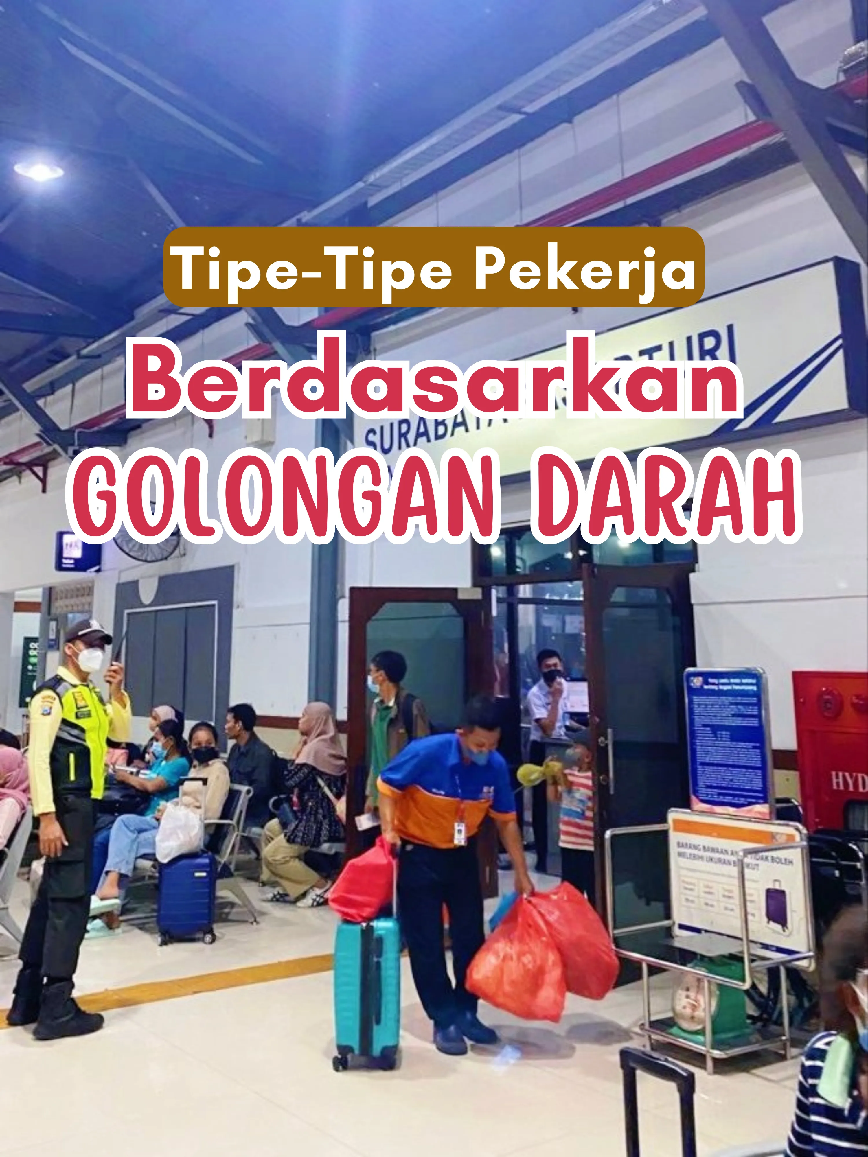 TIPE PEKERJA BERDASARKAN GOLONGAN DARAH🩸 | Galeri Diposting Oleh Yuvi ...