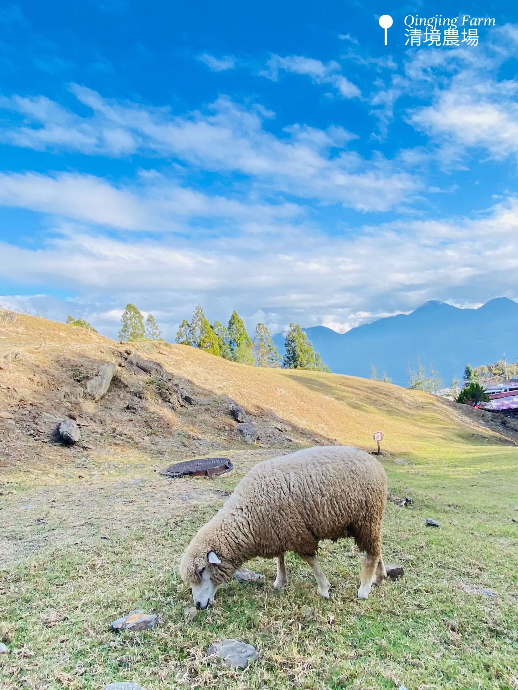 2D1N Guide to Sun Moon Lake & Qingjing Farm | Gallery posted by ...