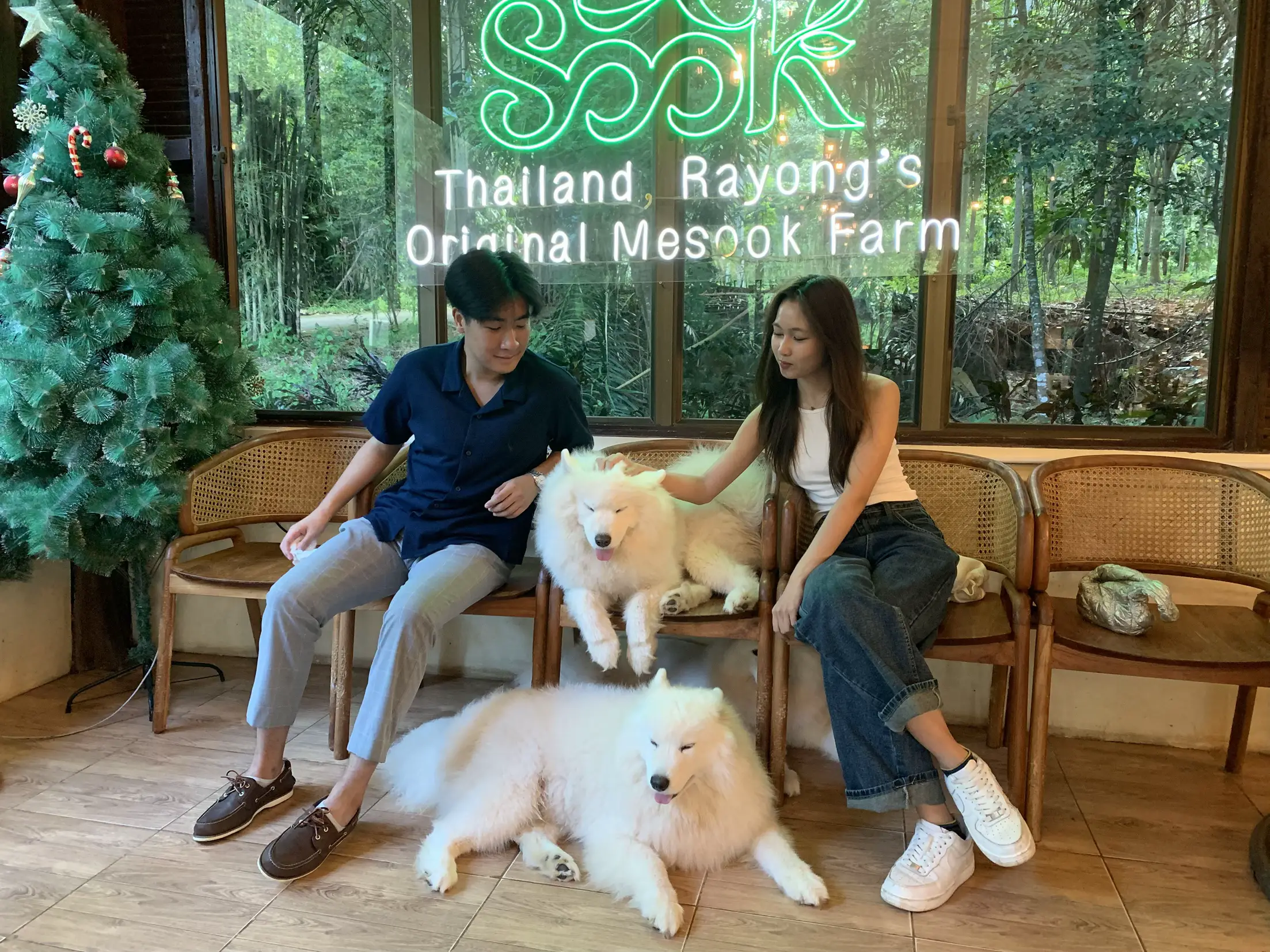 Mesook Farm, Rayong ทาสหมาต้องมา!🐶 