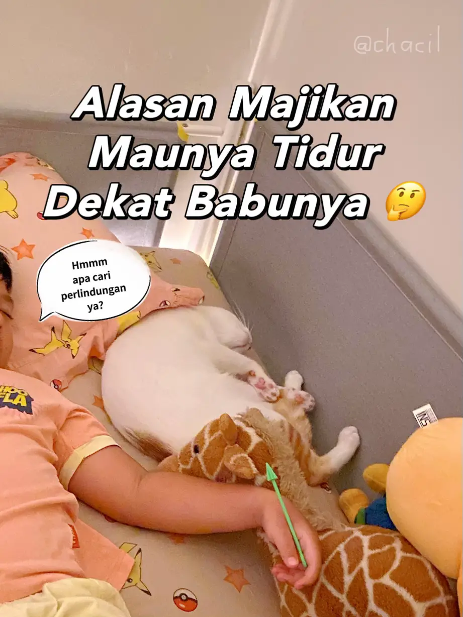 Majikan Maunya Tidur Sama Babunya, Tanda Sayang?? | Gallery posted by  chacil | Lemon8