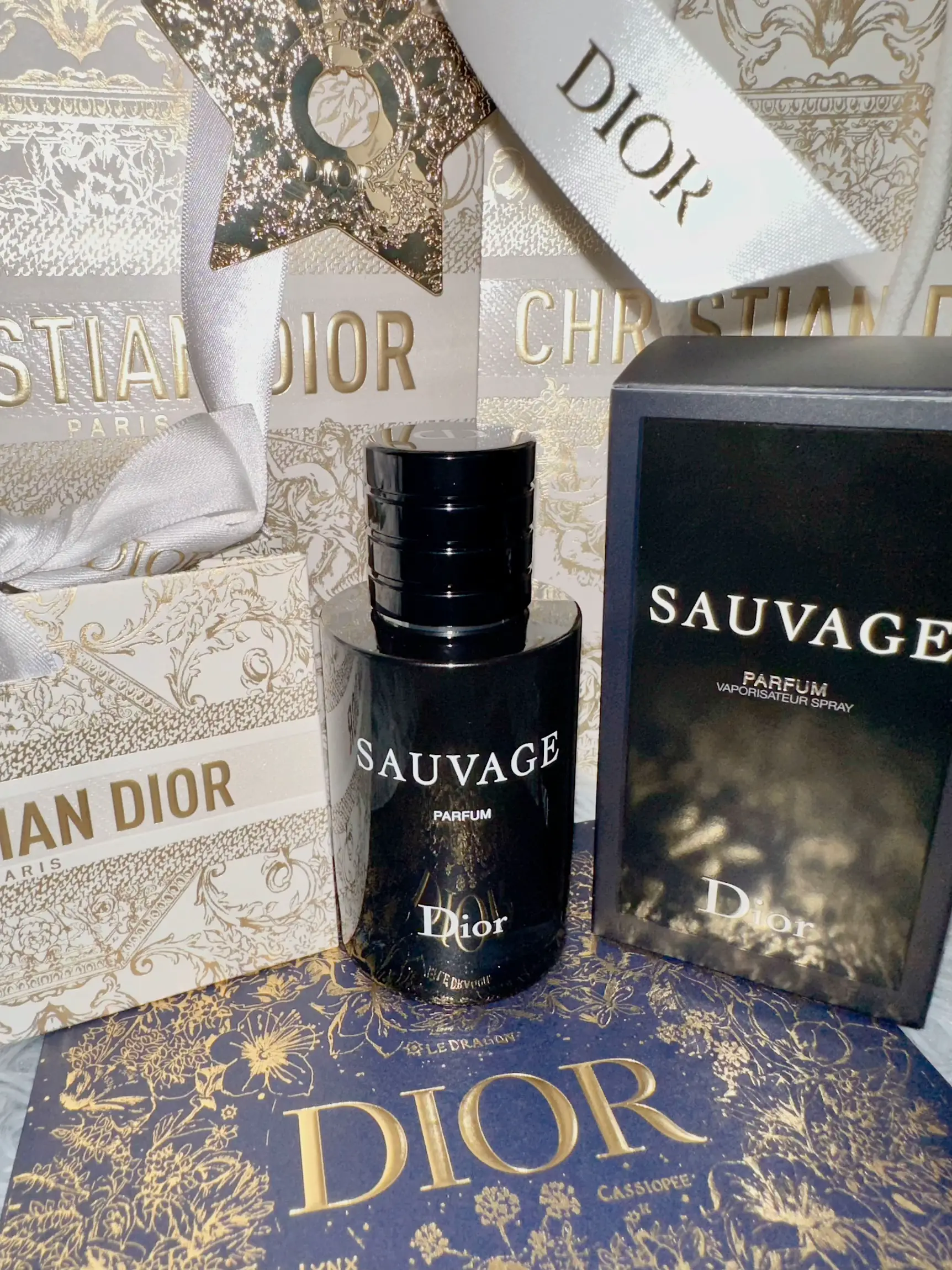 Dior sauvage bag hot sale