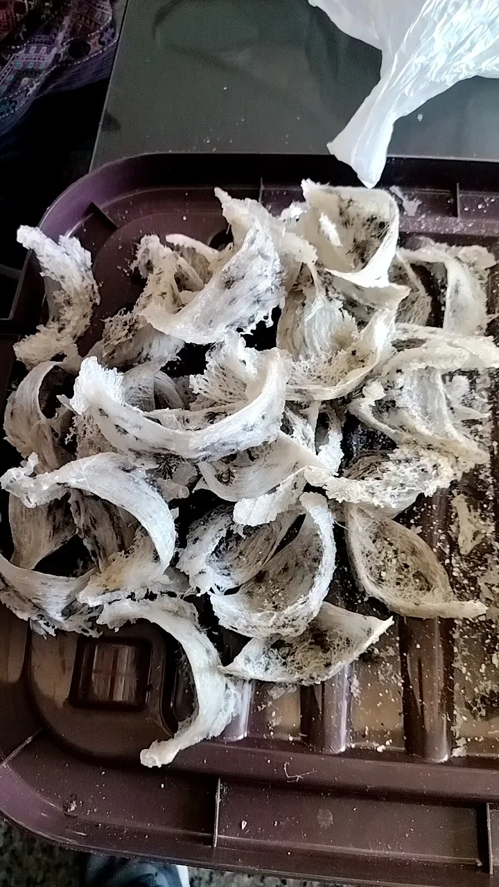 o0PhSKgYfEELmaBuADtm4pCblEBQF9AceZAIhu~t