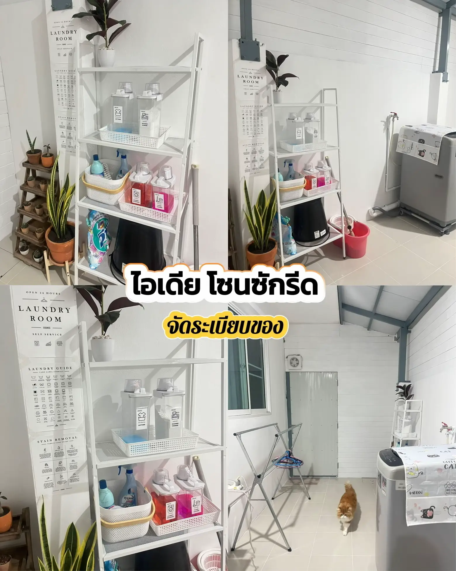 ไอเดีย โซนซักรีดที่บ้าน | แกลเลอรีที่โพสต์โดย บ้านกะแมวในฝัน🪴 | Lemon8