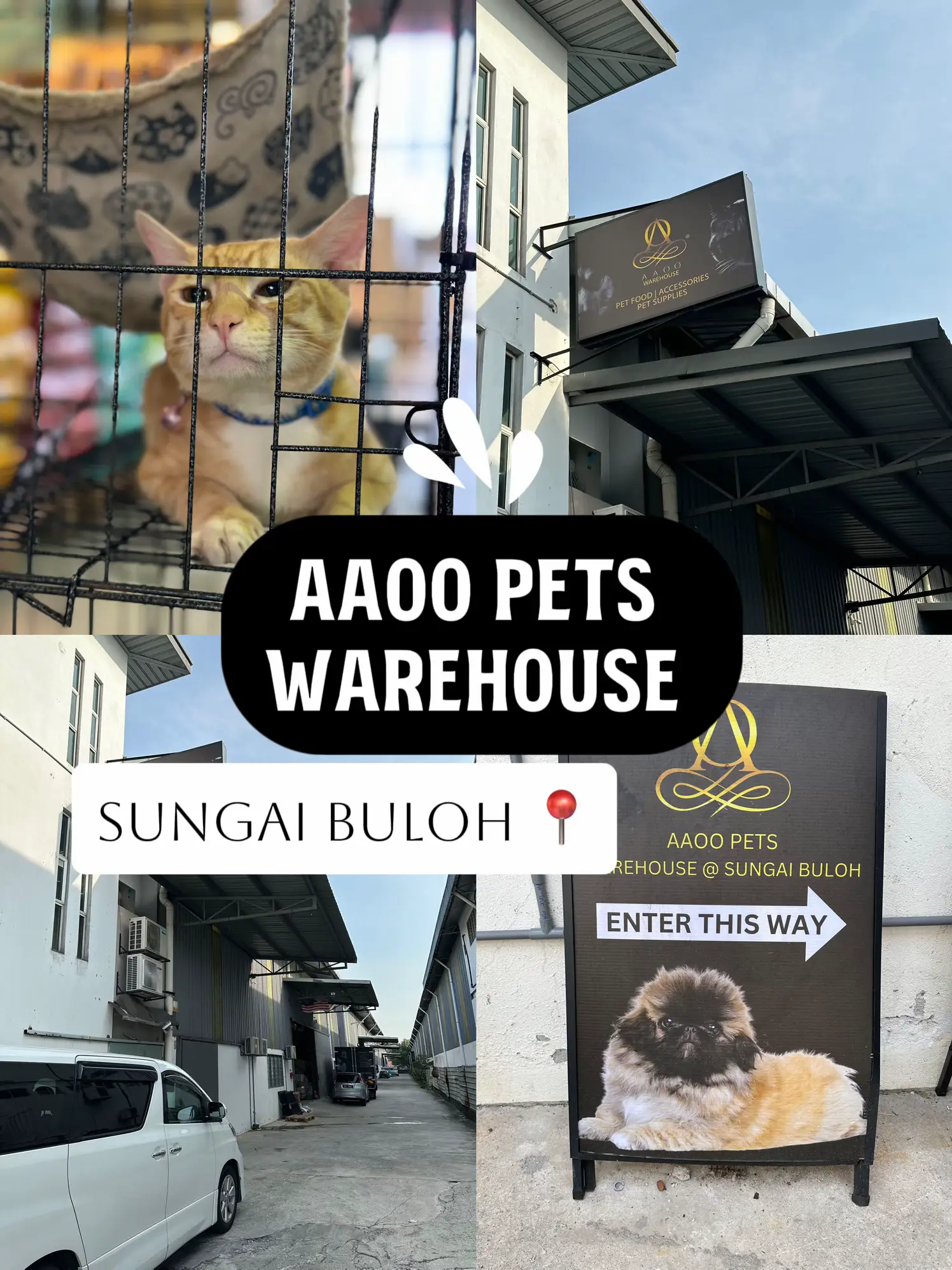 A pet clearance lovers warehouse