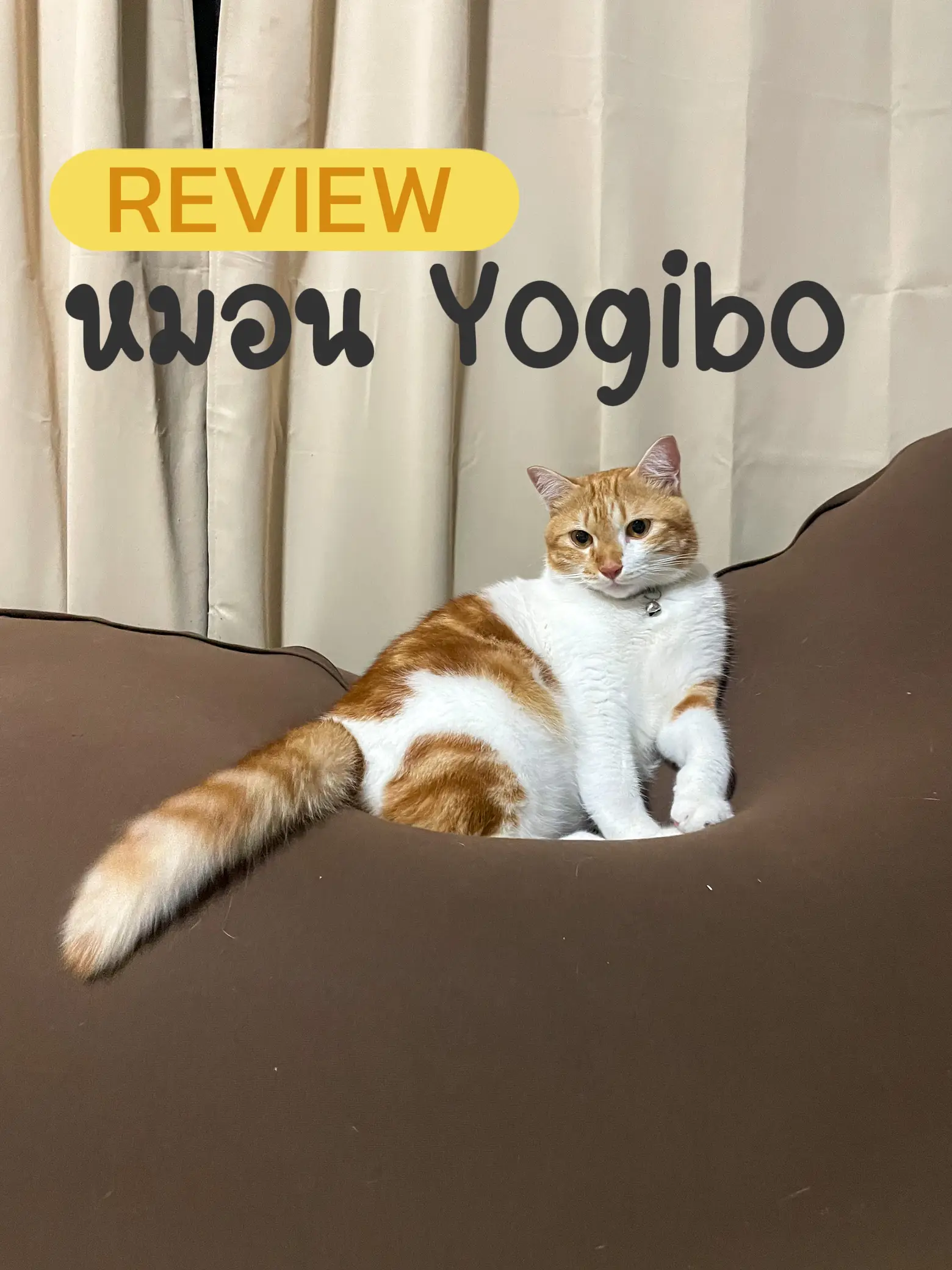 Yogibo Pillow Review by Fat Cat✨ | Gallery posted by Chatchanok