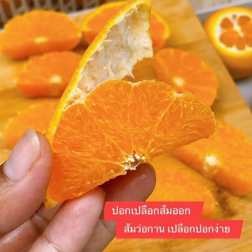 ปอกส้ม ให้สวย น่ากิน | แกลเลอรีที่โพสต์โดย TamaengAroijang | Lemon8