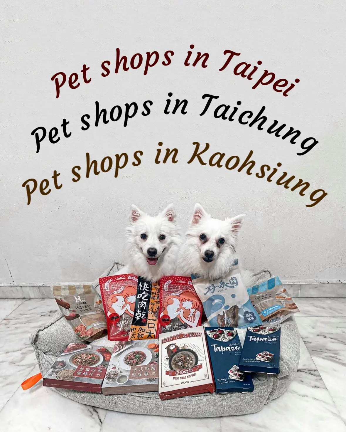 Travel Taiwan s 3 City Pet Shops Guide Gallery posted by