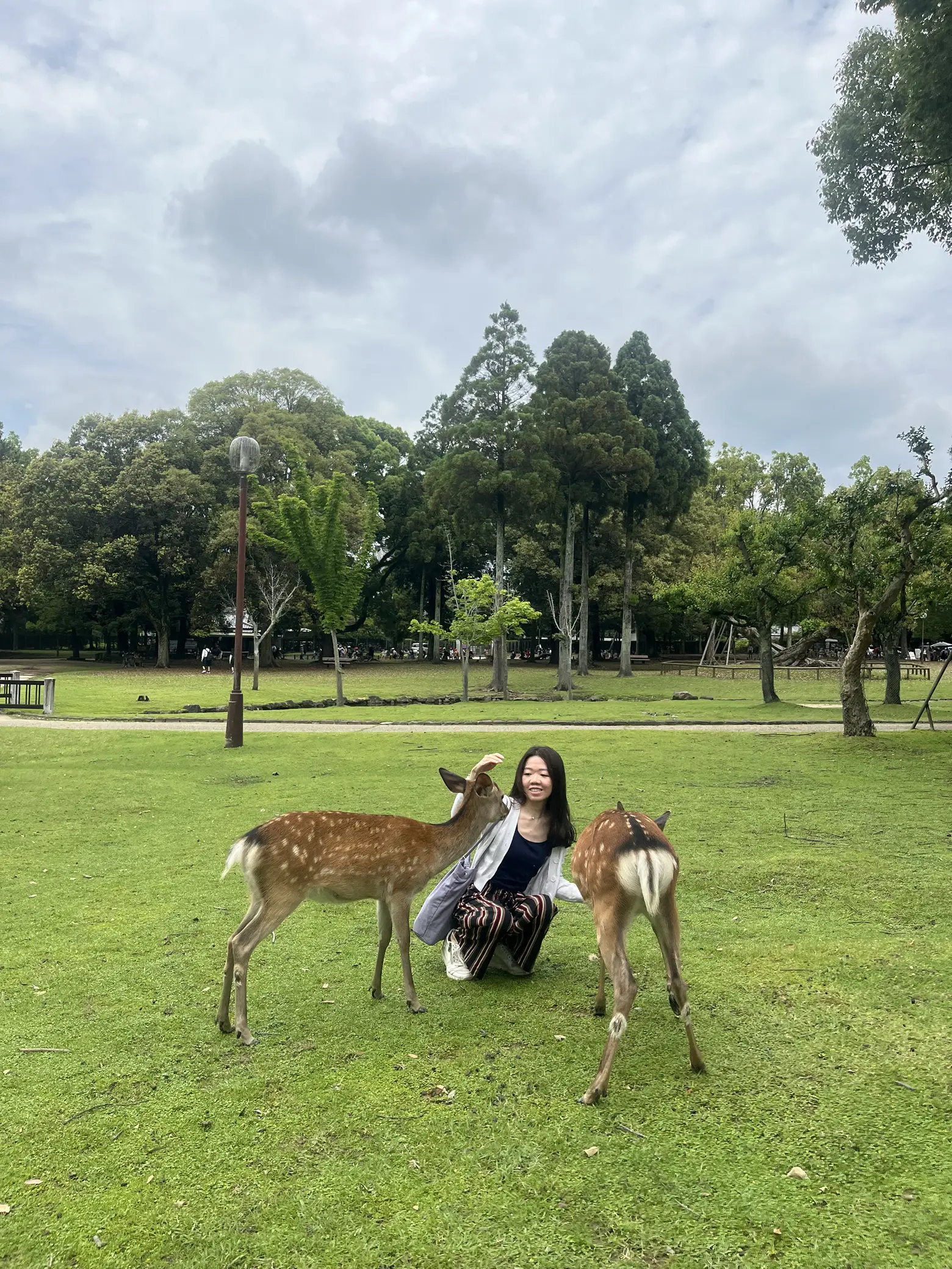 Travel Tips for NARA PARK Getting the best exp Gallery