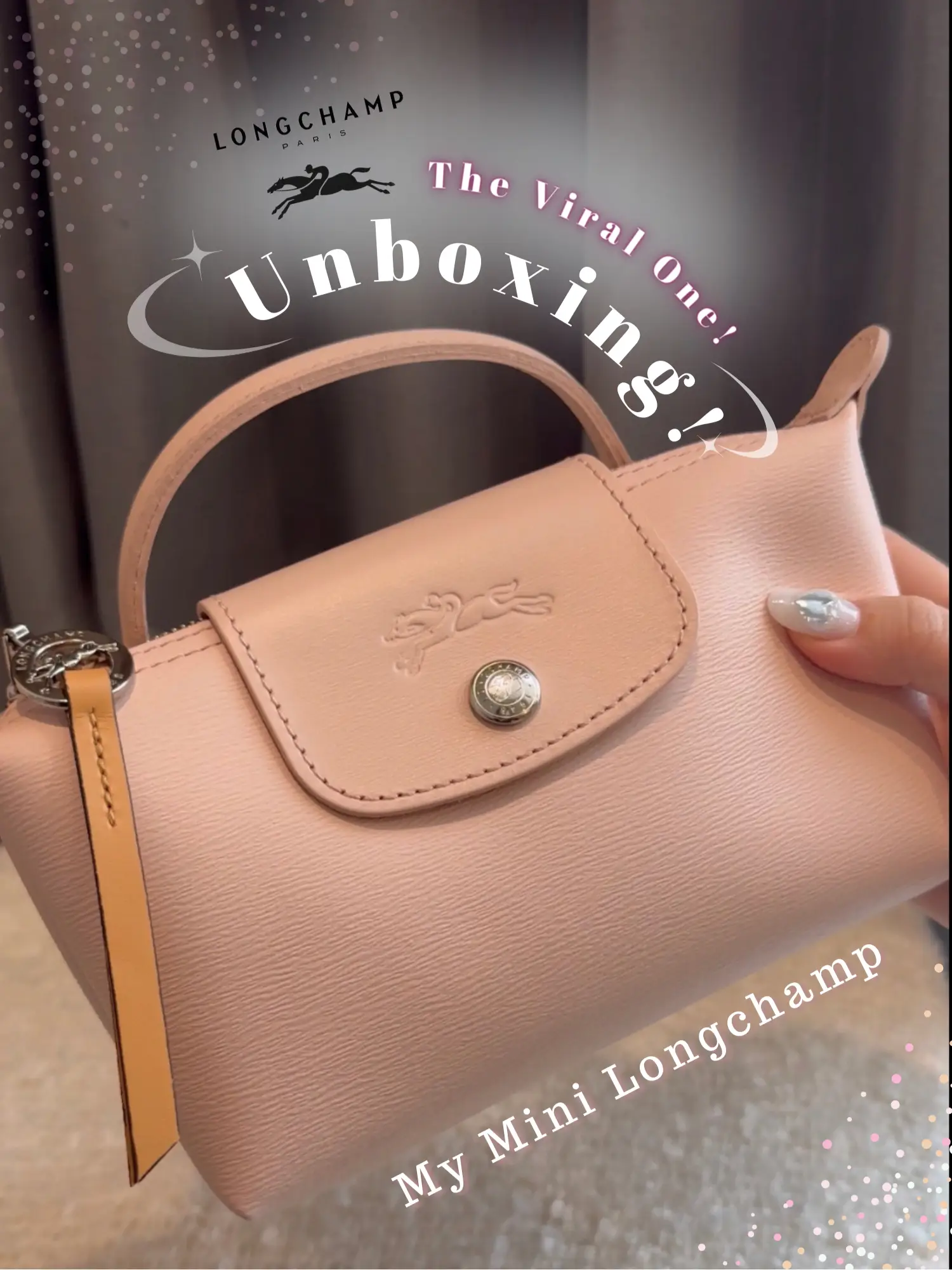 Unboxing the Longchamp Le Pliage Pouch with Handle