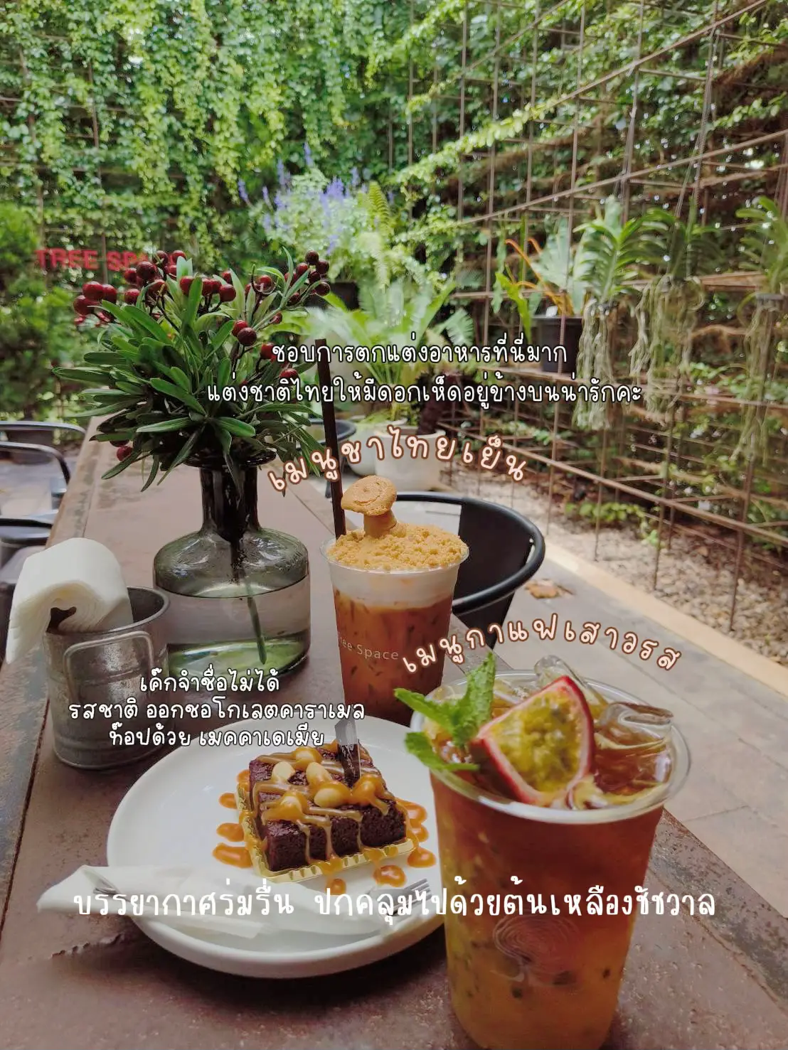 Tree Space คาเฟ่ลับใจกลางเมืองสุราษฎร์ธานี 🍹 | แกลเลอรีที่โพสต์โดย จูน ...