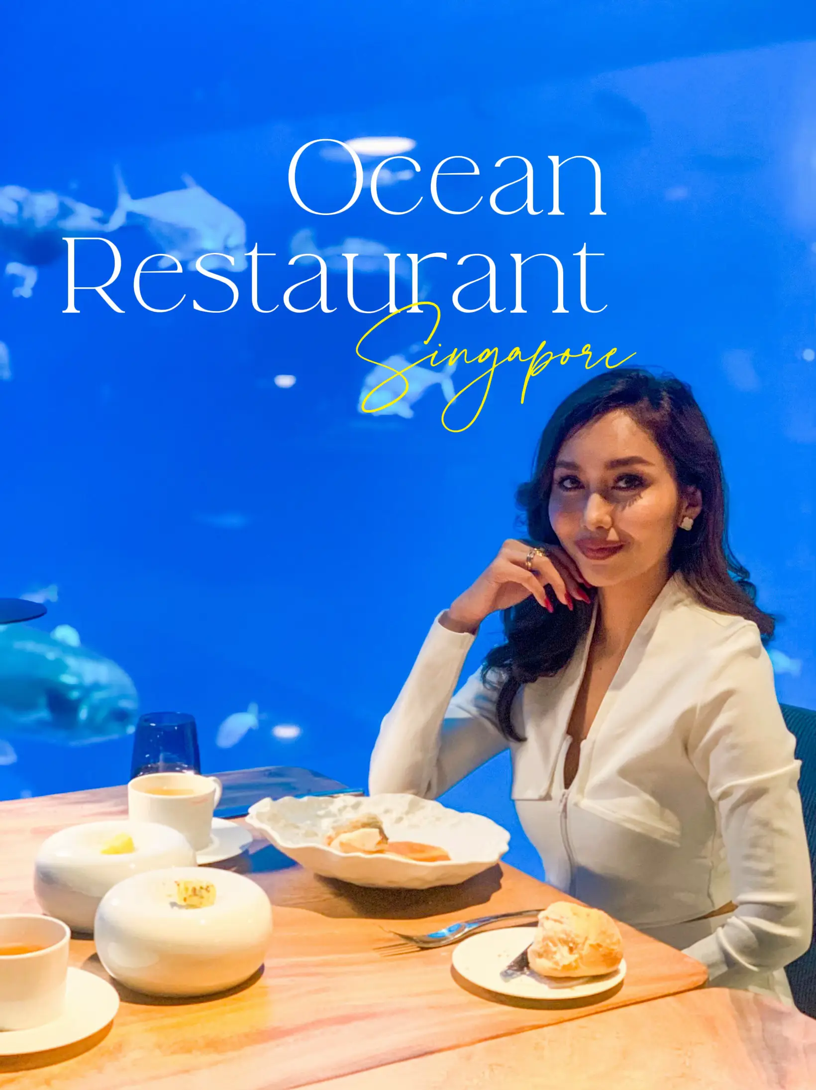ทานอาหารมื้อหรูกับฝูงปลาที่ Ocean Restaurant Singapore 's images