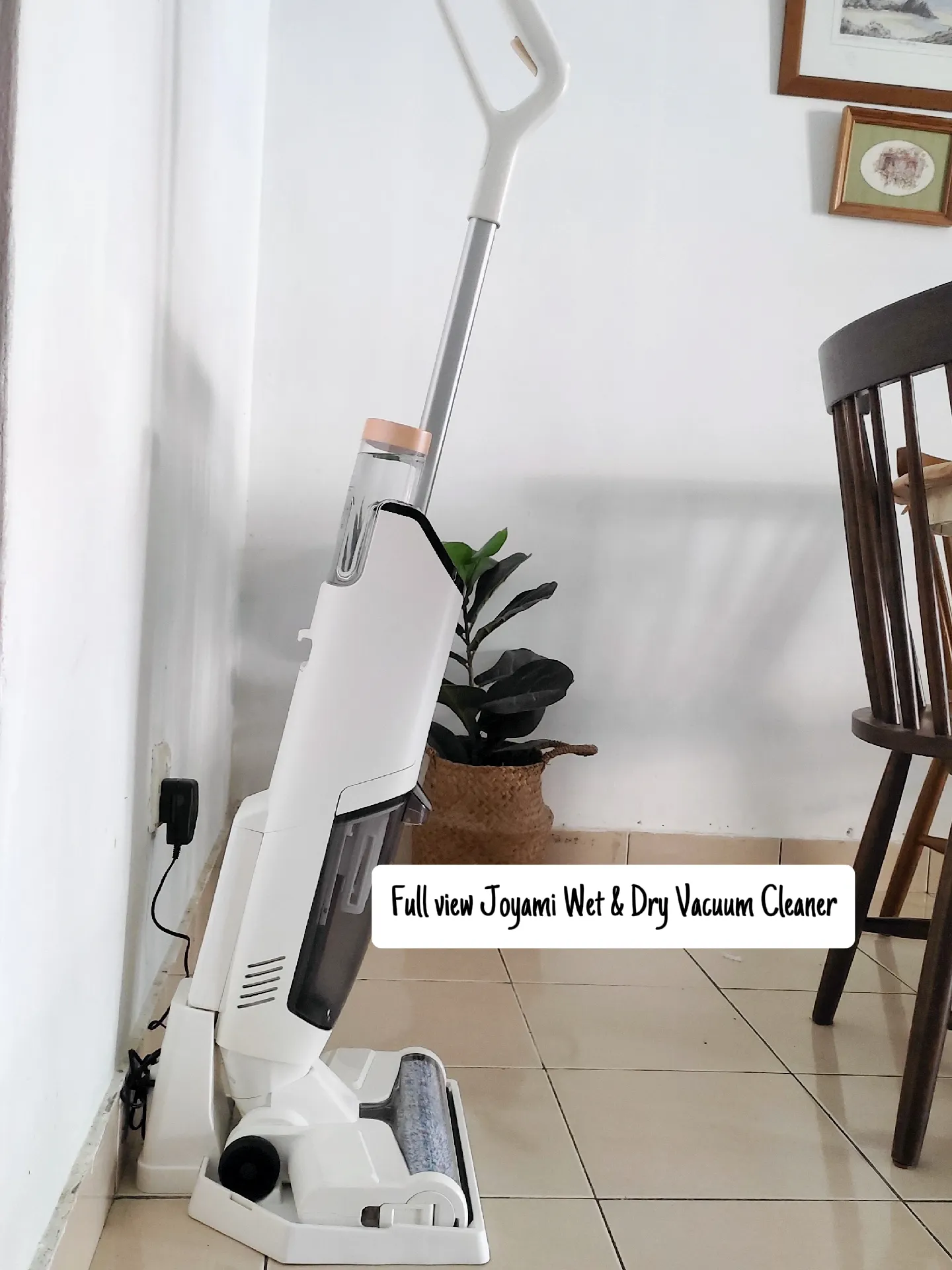 joyami Cordless Wet Dry Vacuum Cleaner with Mop