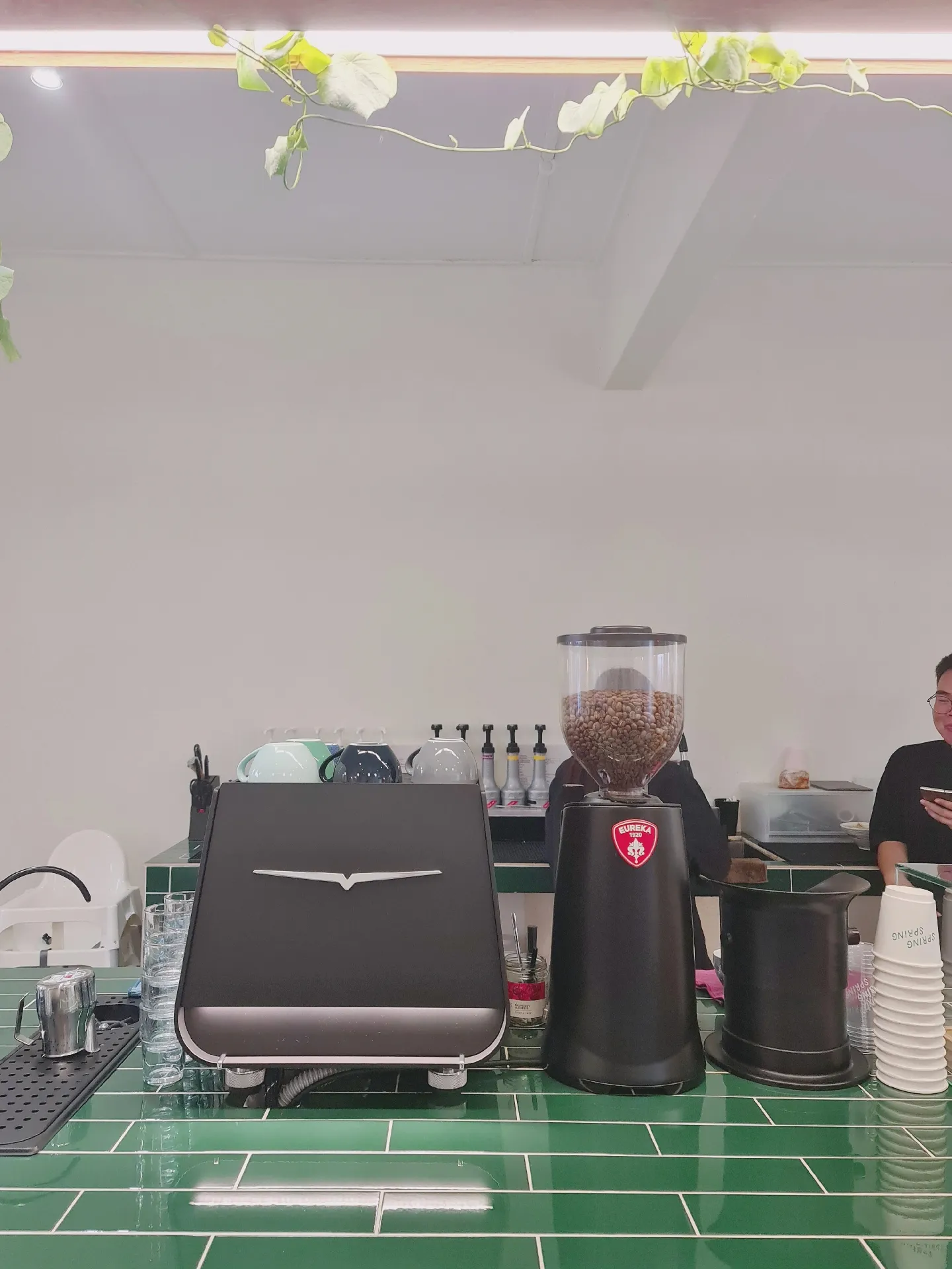 Spring Spring Cafe SPRING SPRING is a cute cat cafe in PJ | Galeri disiarkan oleh Misa ʕ ...