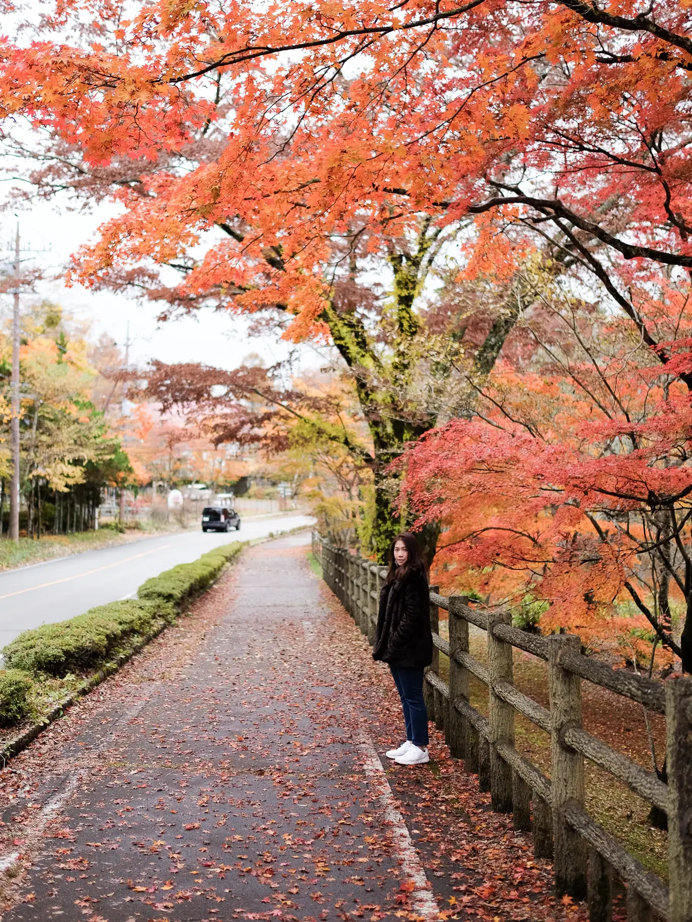 変色した冬の日に富士山を狩る。 🗻🍁 | หนีนายไปJourneyが投稿したフォトブック | Lemon8
