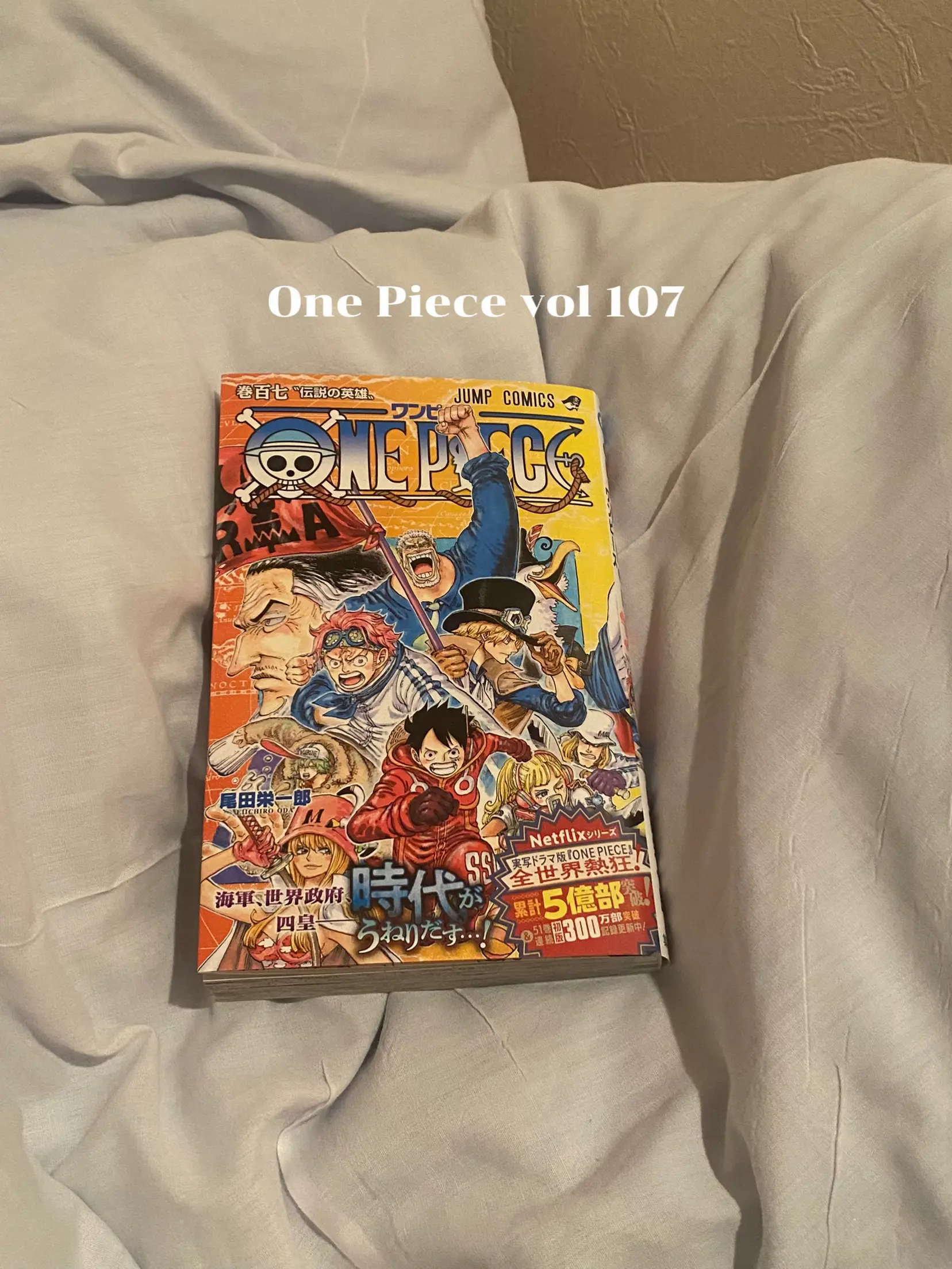 One Piece Vol. 107 Japanese Manga Comic Book 【Japanese version