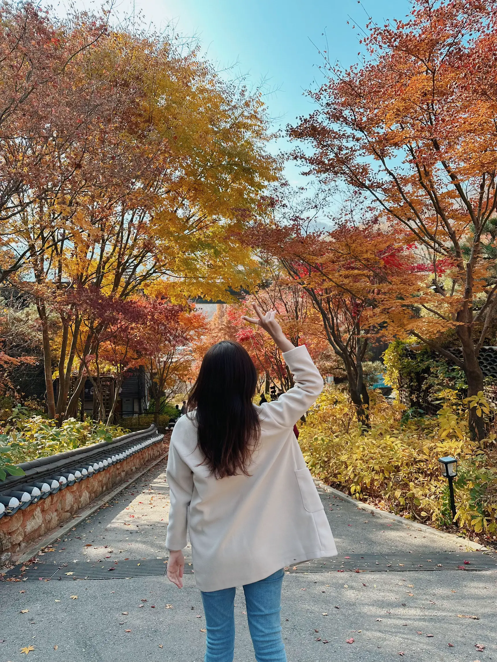 Seoul Autumn Recs 1: Hwadam Botanic Gardens 🍁🍂 | Gallery posted by ...