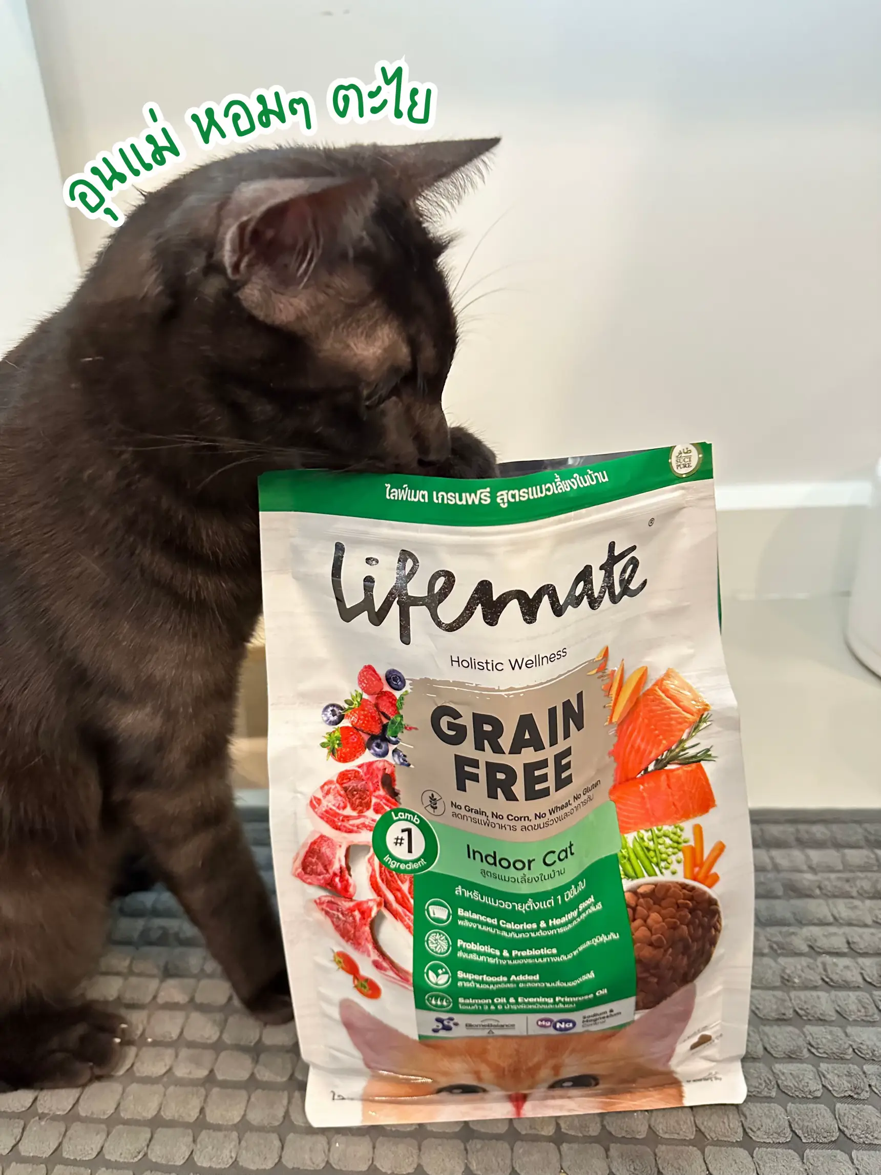 Lifemate cat food is not salty because sodium is low. Beautiful