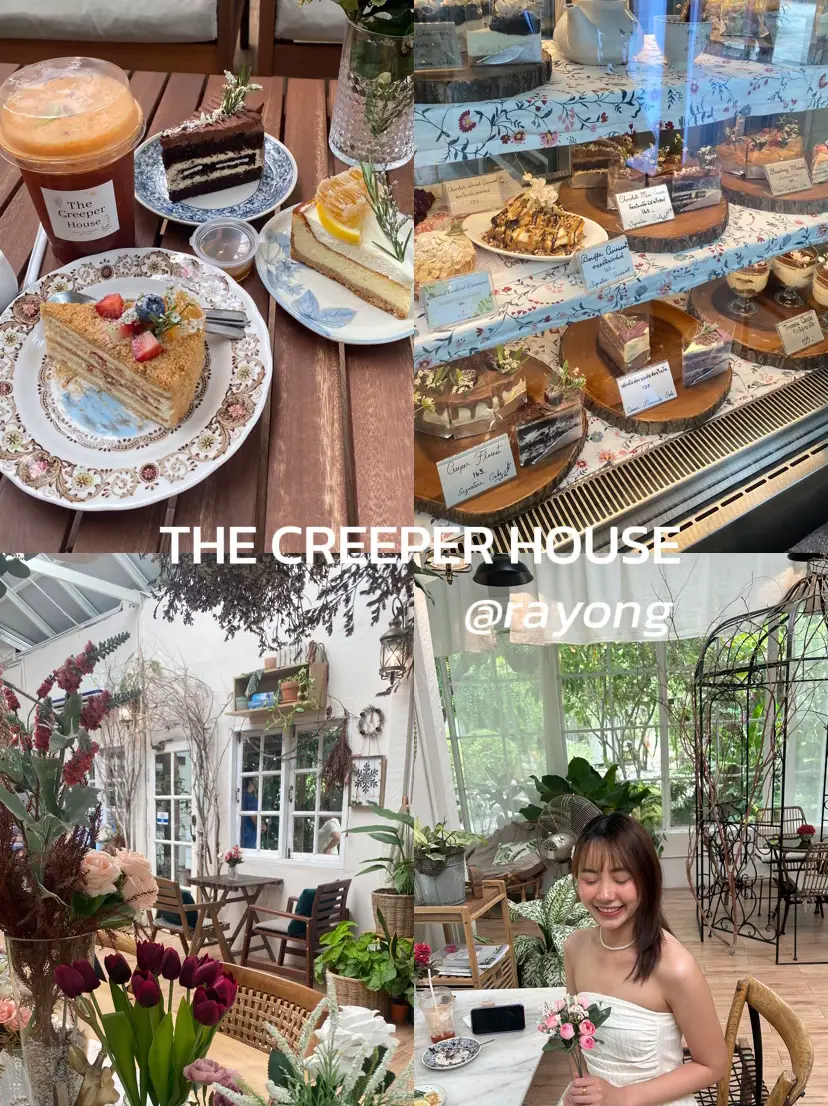 THE CREEPER HOUSE 🧁 แกลเลอรีที่โพสต์โดย asnaomsin Lemon8