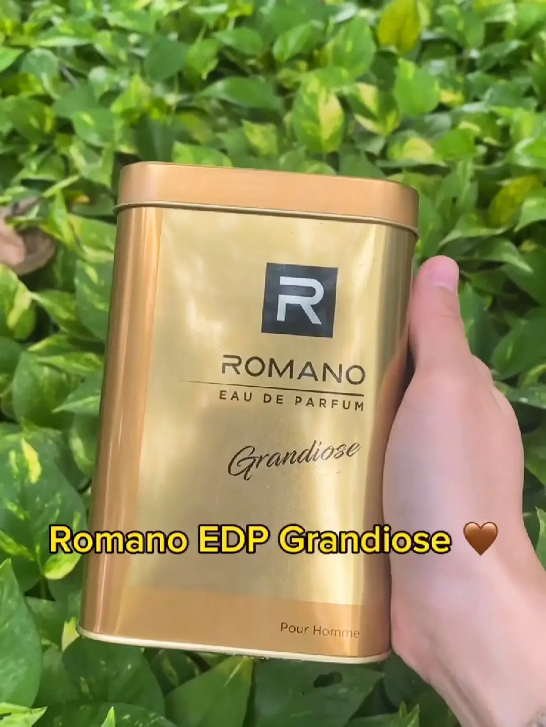 Romano perfume online gold