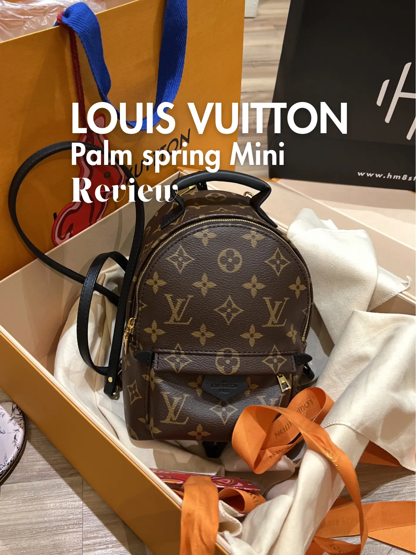 Louis Vuitton Palm Spring Mini Full REVIEW!!