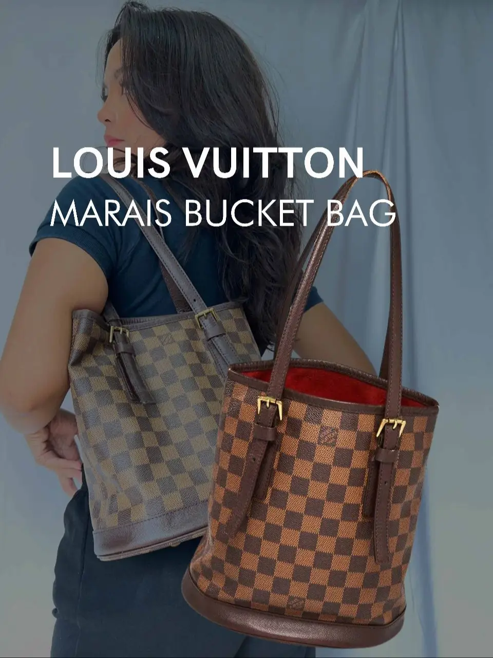 Louis Vuitton Damier Ebene Marais Bucket Bag w/ Accessory Pochette Louis  Vuitton