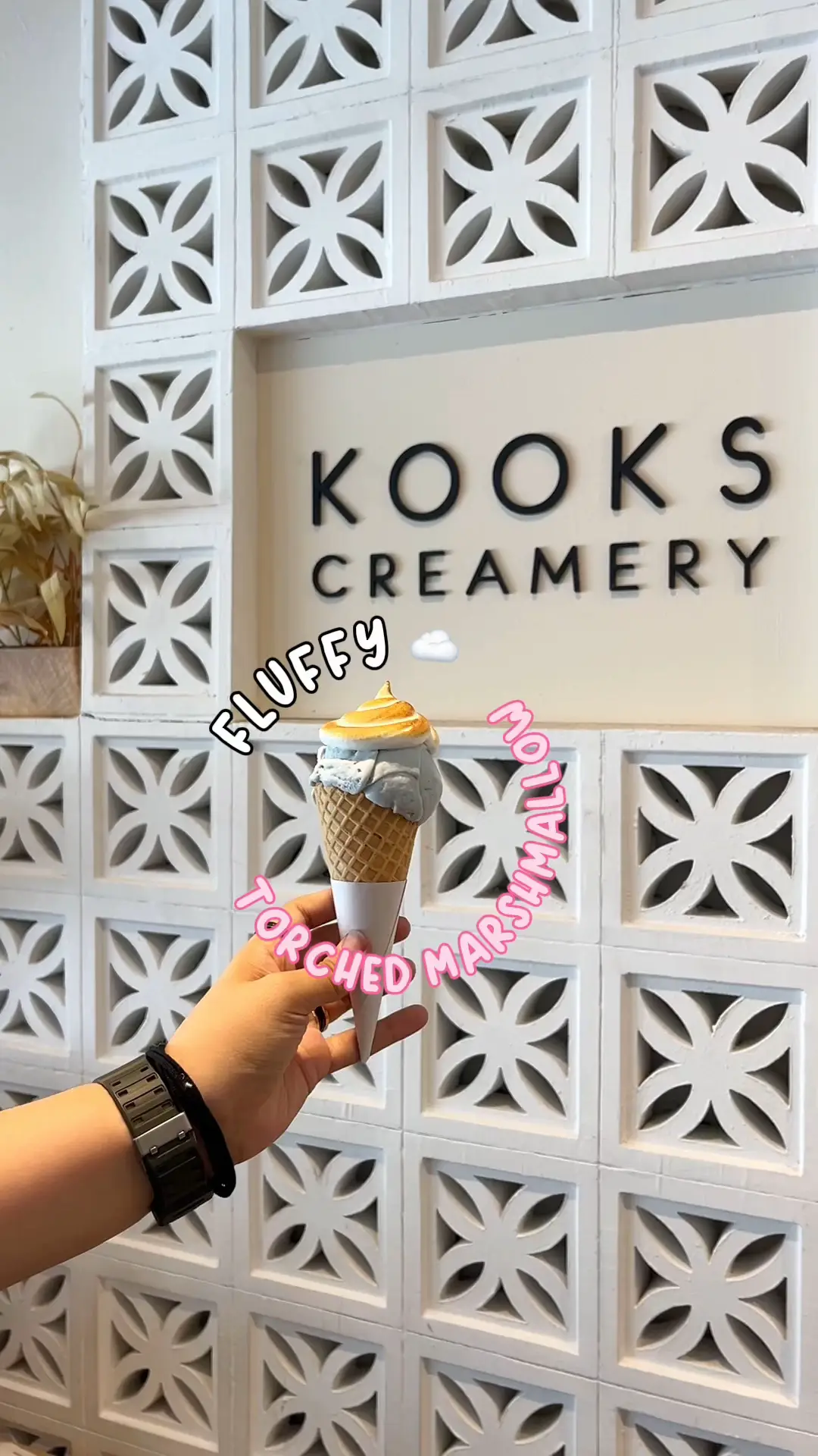 ADD TORCHED MARSHMALLOW TO YOUR ICE CREAM NOW ☁️🍦🌟 Video published by