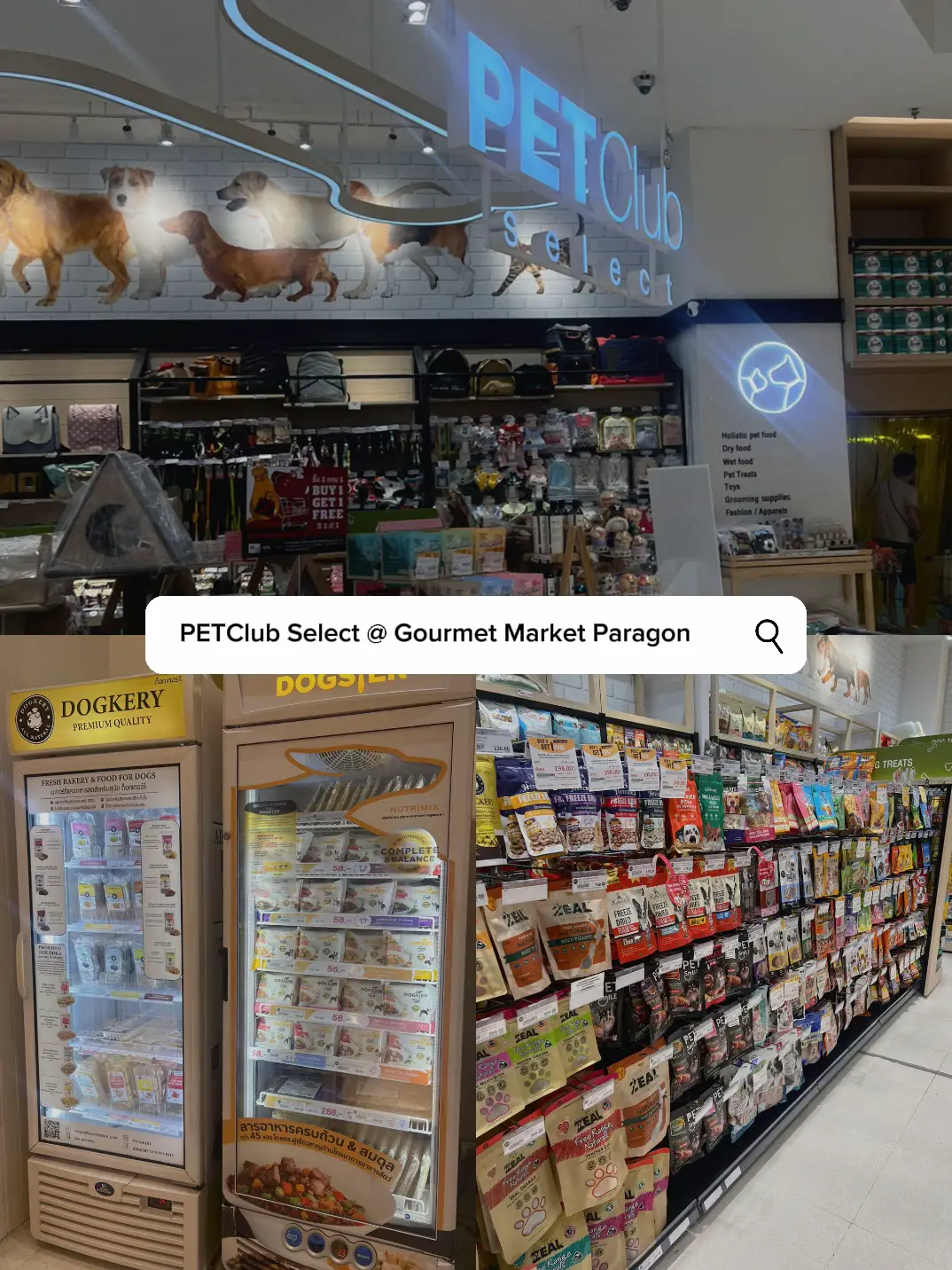 TRAVEL Pet Supplies in Bangkok Gallery posted by Tams