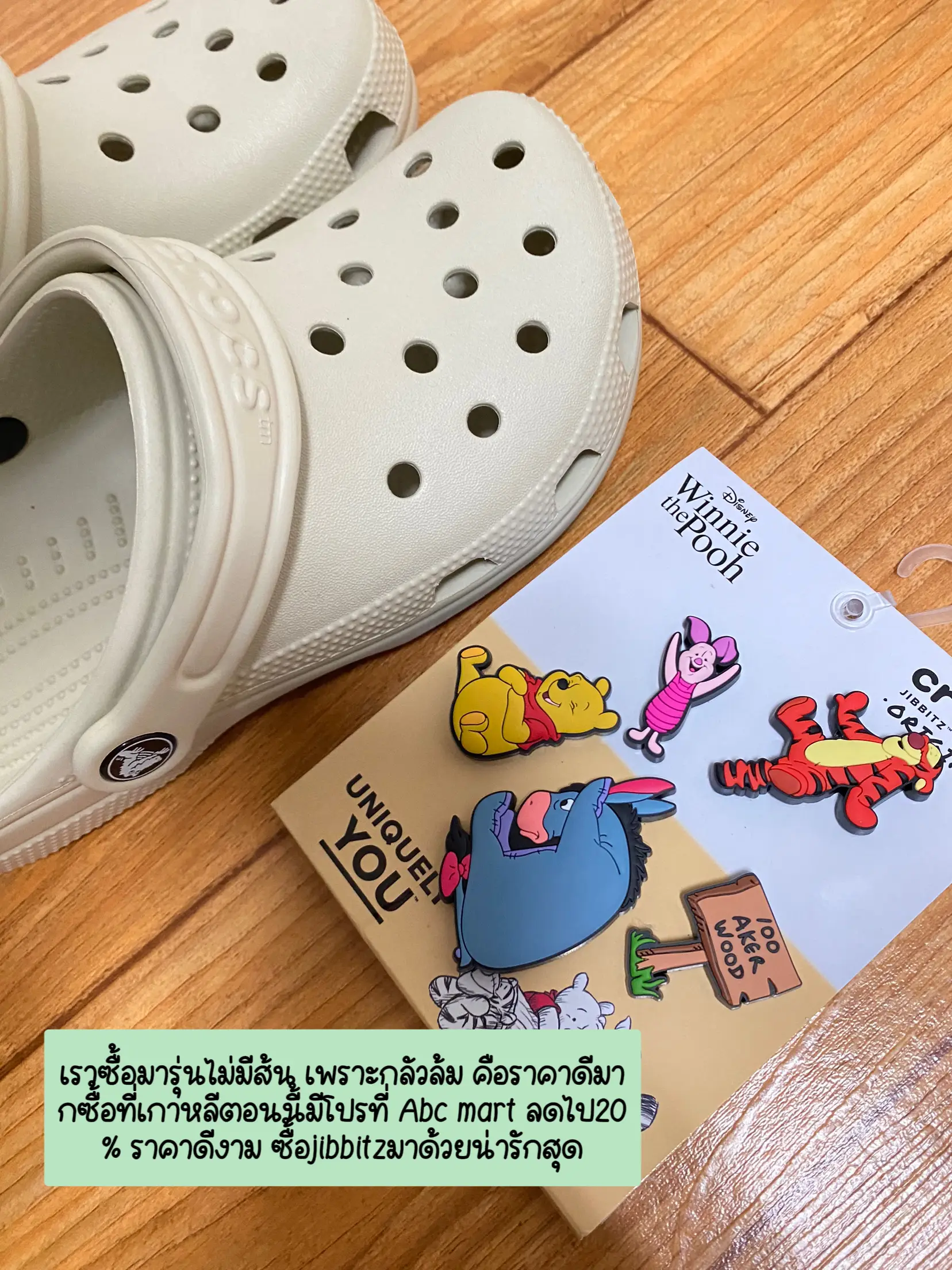 Winnie the Pooh Croc 