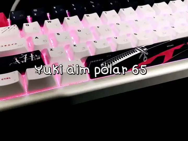 Keyboard ตัวแรร์!!! Yuki aim polar 65✨