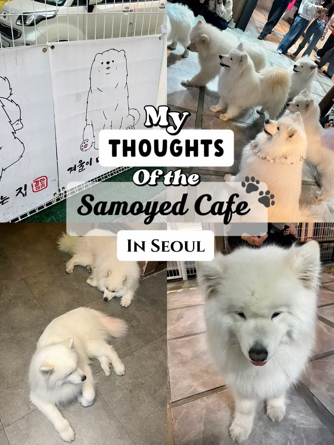 Late-Night Cafe in South Korea - Lemon8 Search