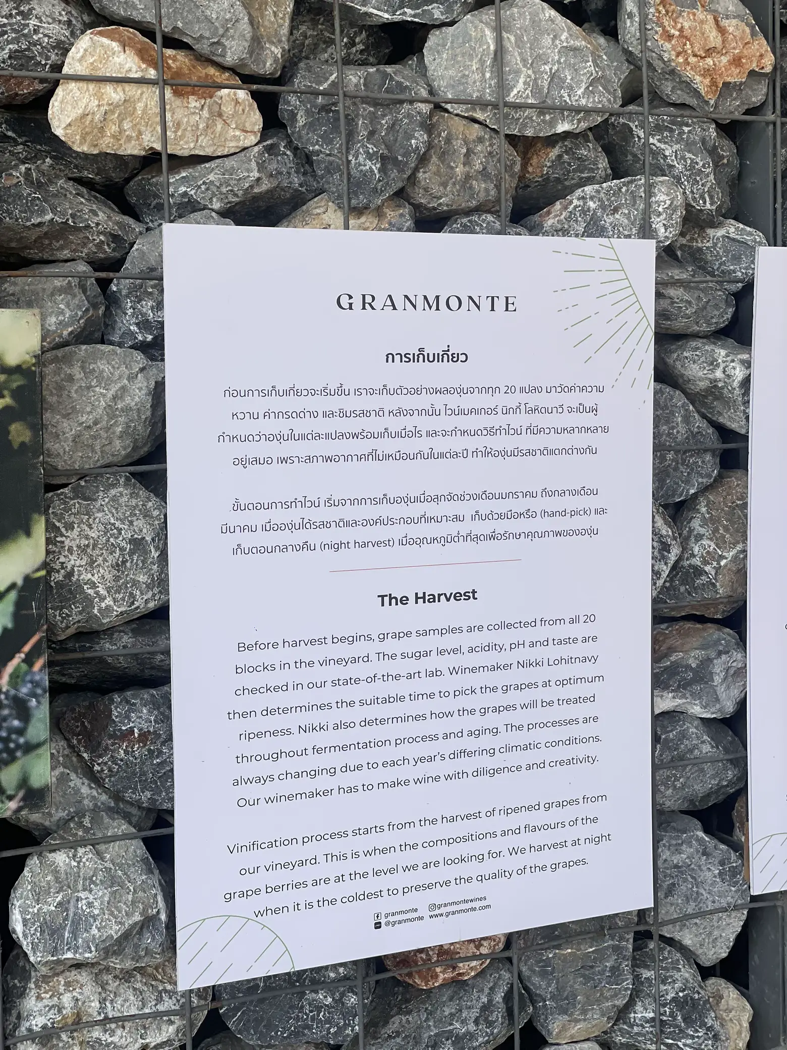 Granmonte Gradient GRANMONTE WINERY & VINEYARD 🍇💖 | แกลเลอรีที่โพสต์โดย NES’s vlog | Lemon8