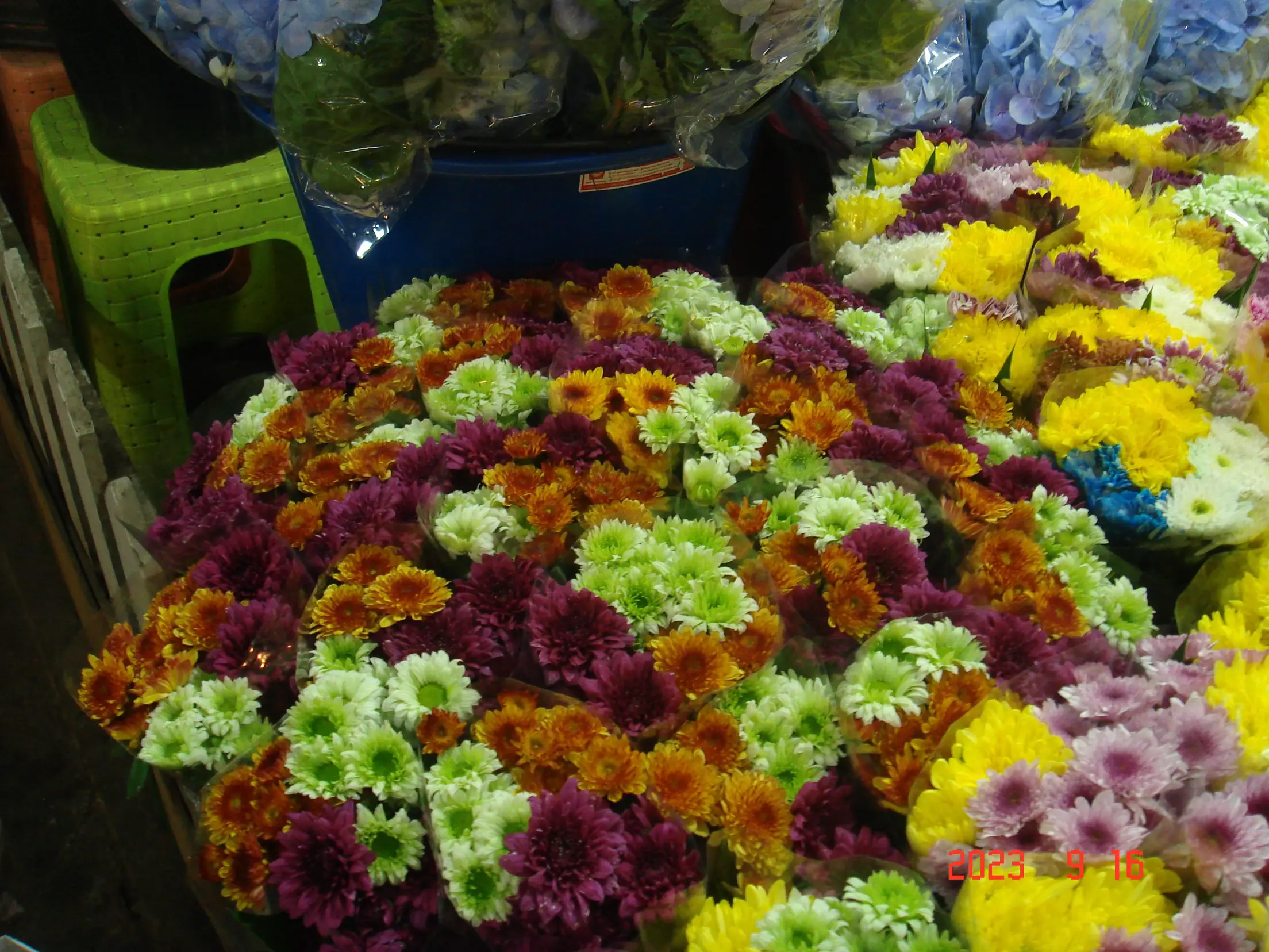 Supermarket Flower🌻 Gallery posted by PK Lemon8