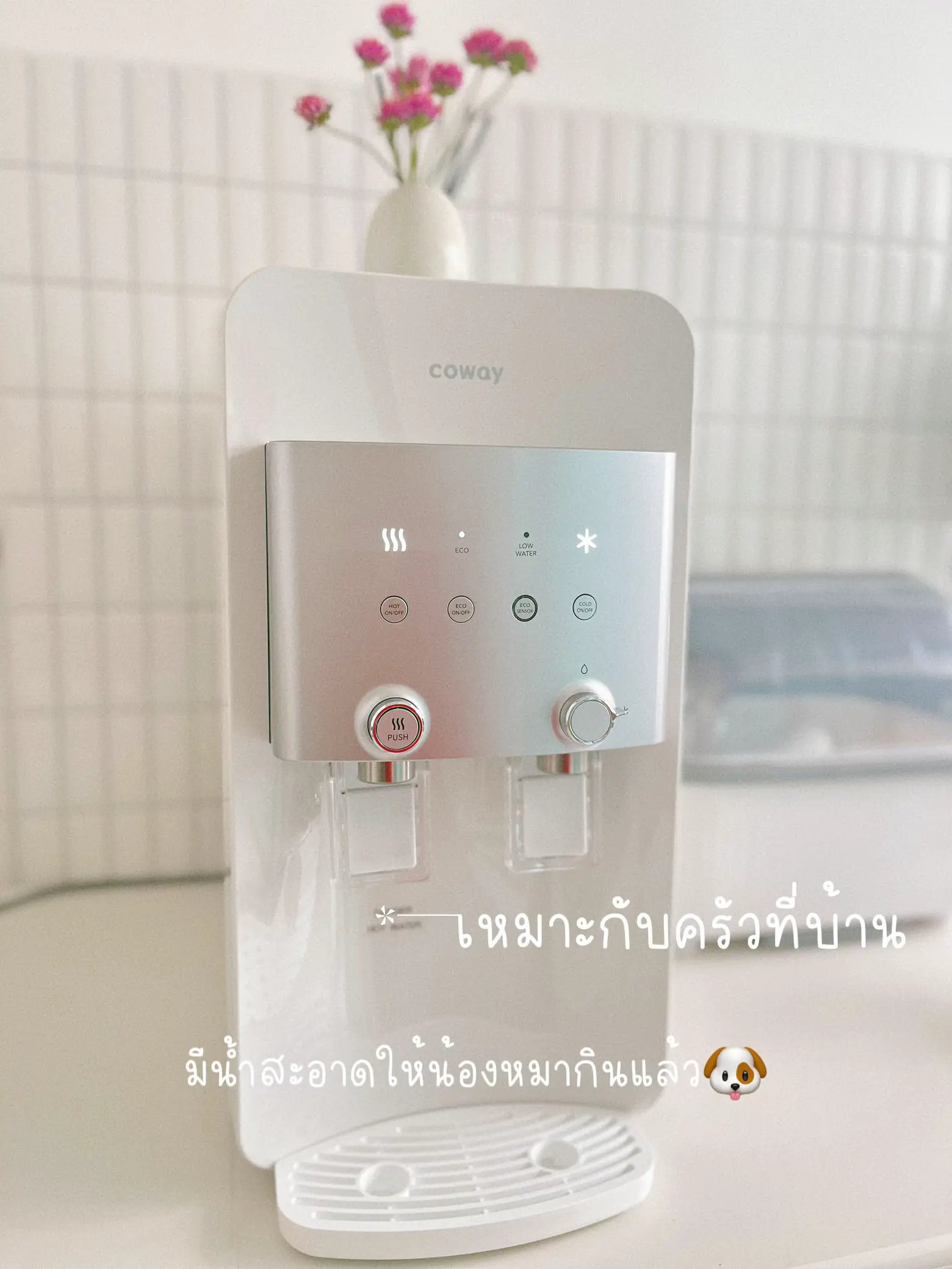 Coway drinking online water machine