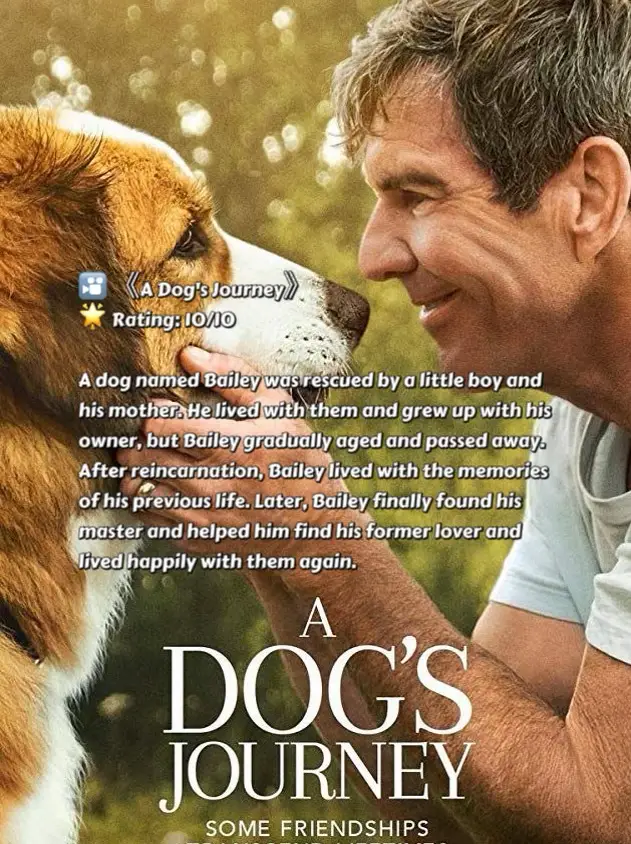 Movie | Recommendation & Review for dog lovers! 🎬 | 2dogs1hooman