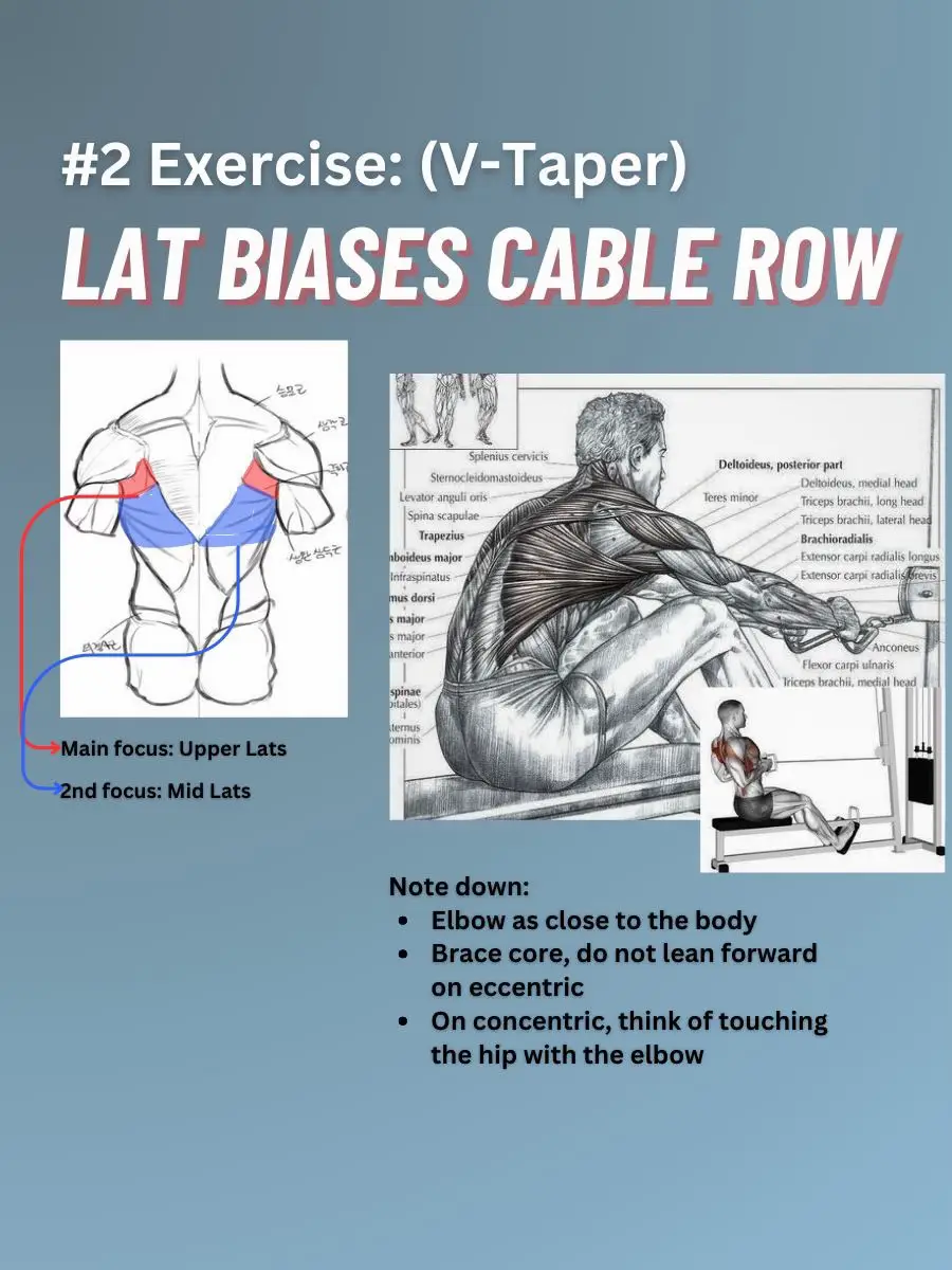 How To Build A V-taper back  V taper back best exercises 