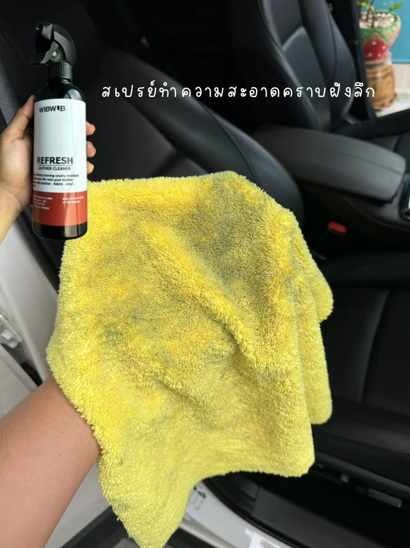 Leather Wipes, Automotive Interior Appearance