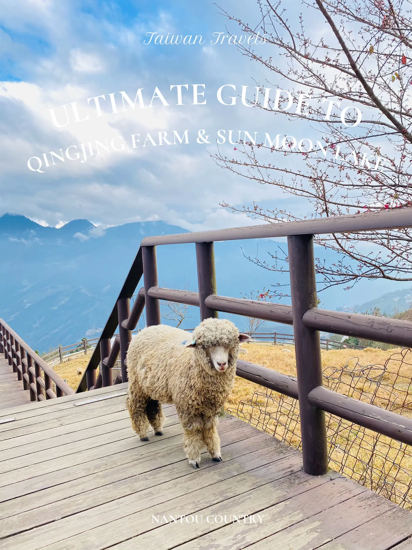 2D1N Guide to Sun Moon Lake & Qingjing Farm | Gallery posted by ...