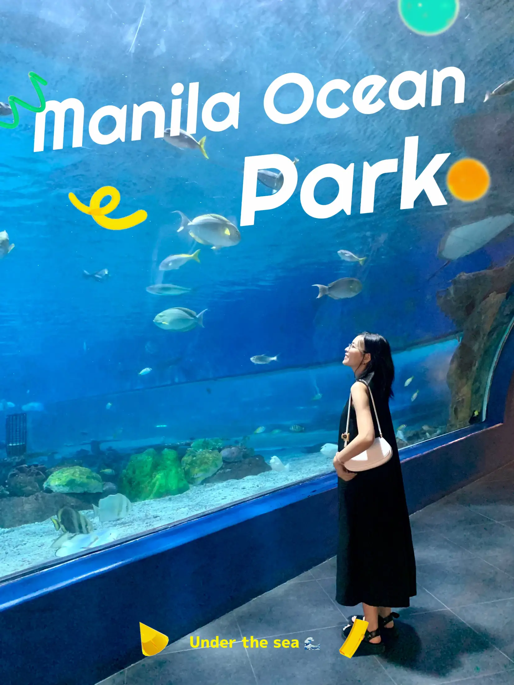 Manila Ocean park แกลเลอรีที่โพสต์โดย Ann P Lemon8