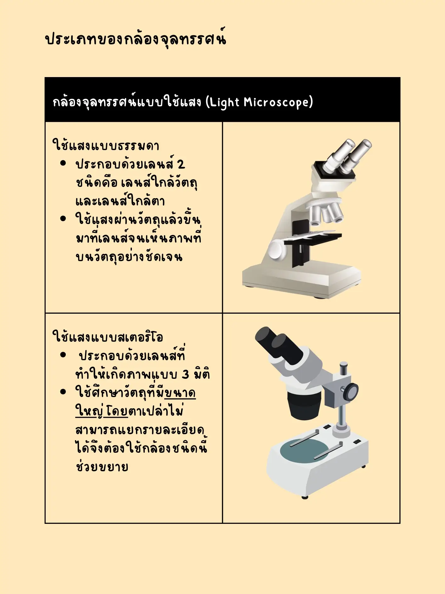 ส่วนประกอบของกล้องจุลทรรศน์ - การค้นหาใน Lemon8