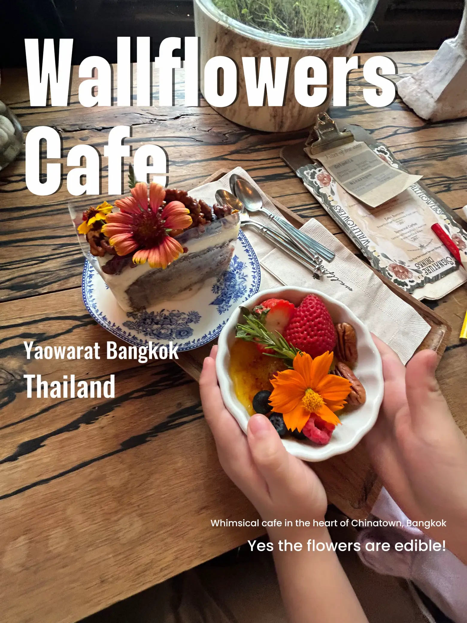 Must visit cafe in Bangkok Wallflowers Cafe Gallery posted by