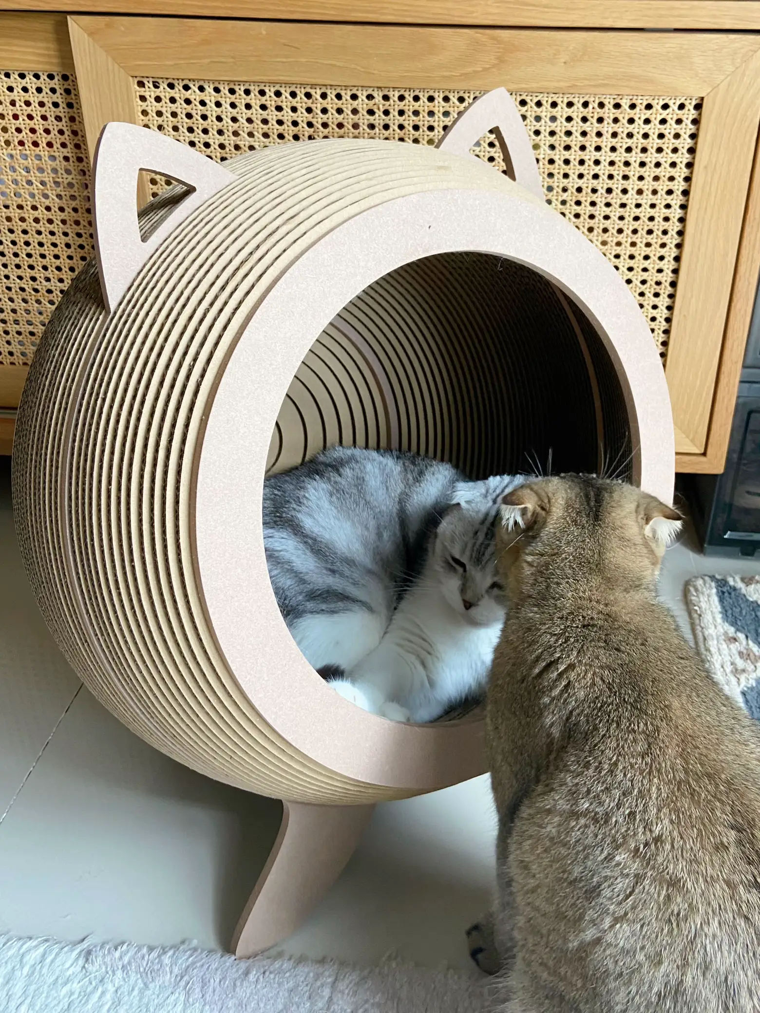 Minimalist clearance cat bed