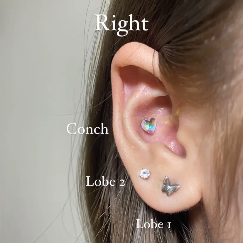 Ear piercing review (almost all positions) Gallery posted by brainnyy