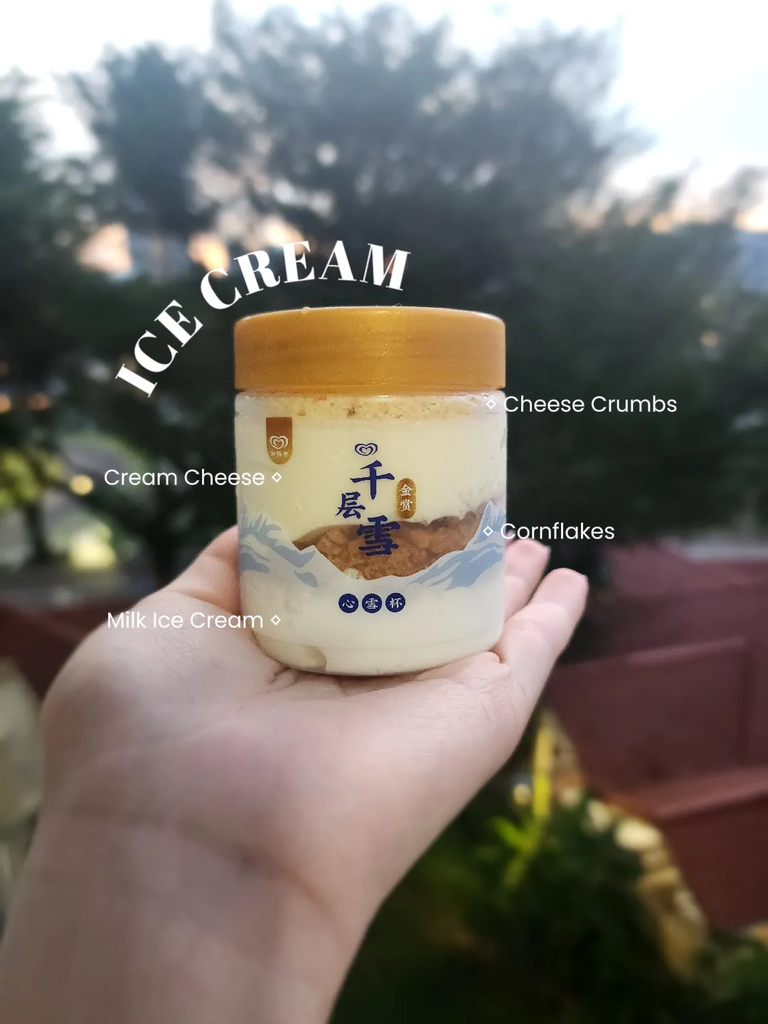 ICE CREAM | munchables.sgが投稿したフォトブック | Lemon8