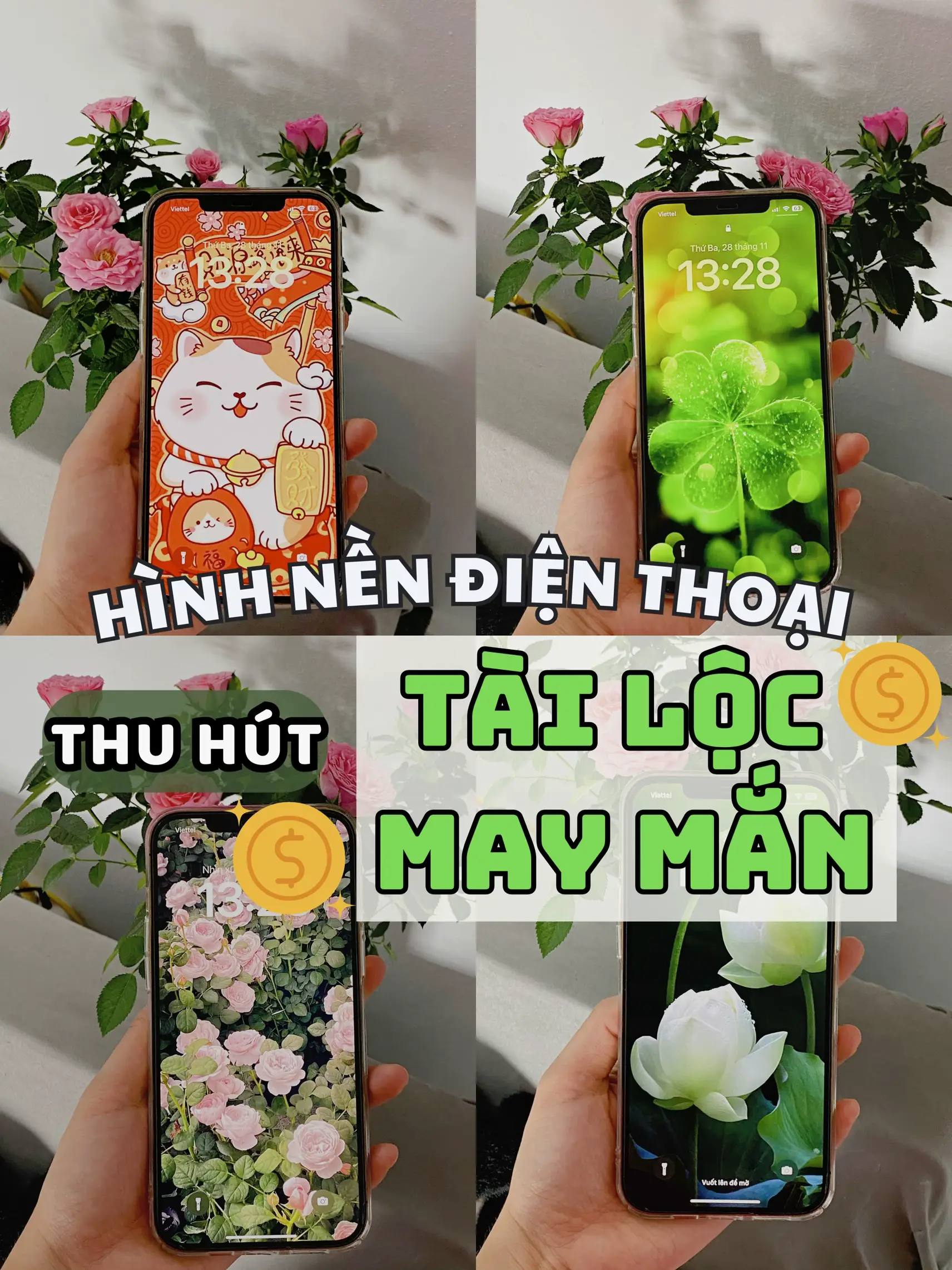 🌹NHỮNG HÌNH NỀN THU HÚT TÀI LỘC - MAY MẮN🌹 | Bộ sưu tập do Mai ...