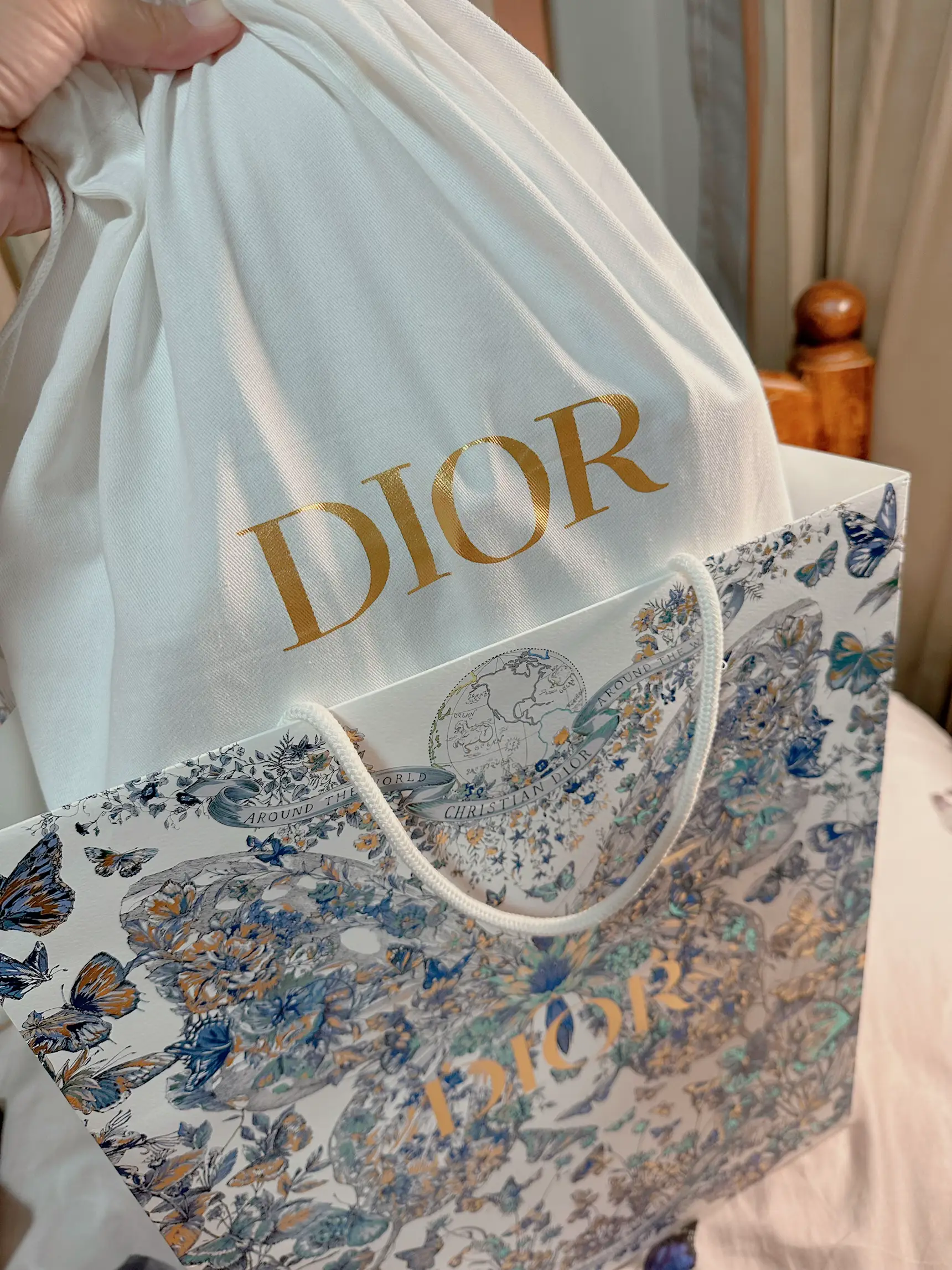 Dior Always bag Paris Gallery posted by jira Lemon8