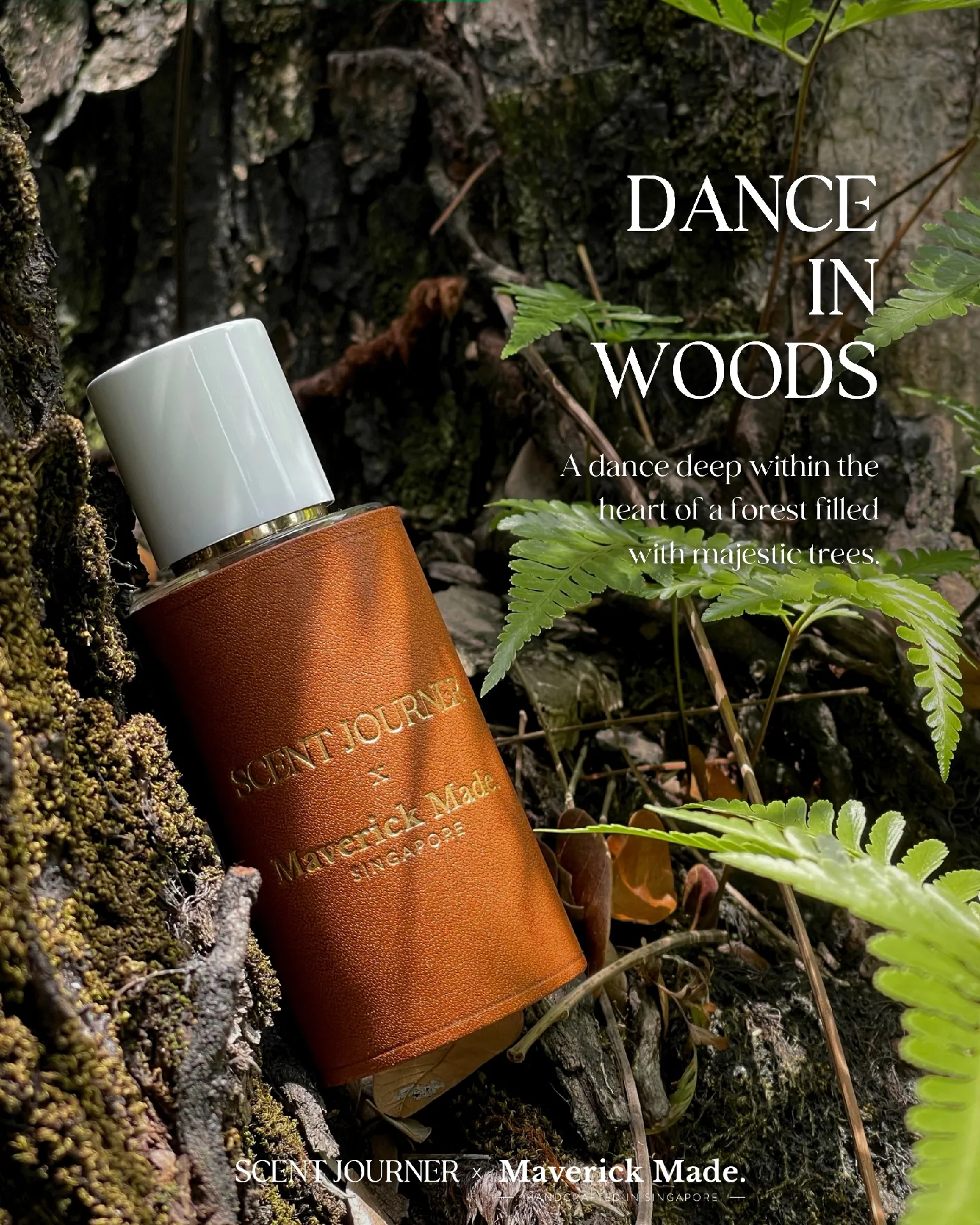 We launched a new woody perfume!!'s images