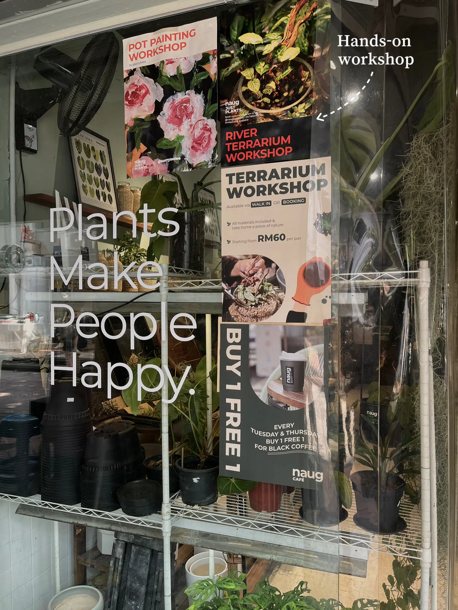 🇲🇾 DO YOU KNOW YOU CAN BRING PLANTS FROM JB TO SG? Gallery posted by