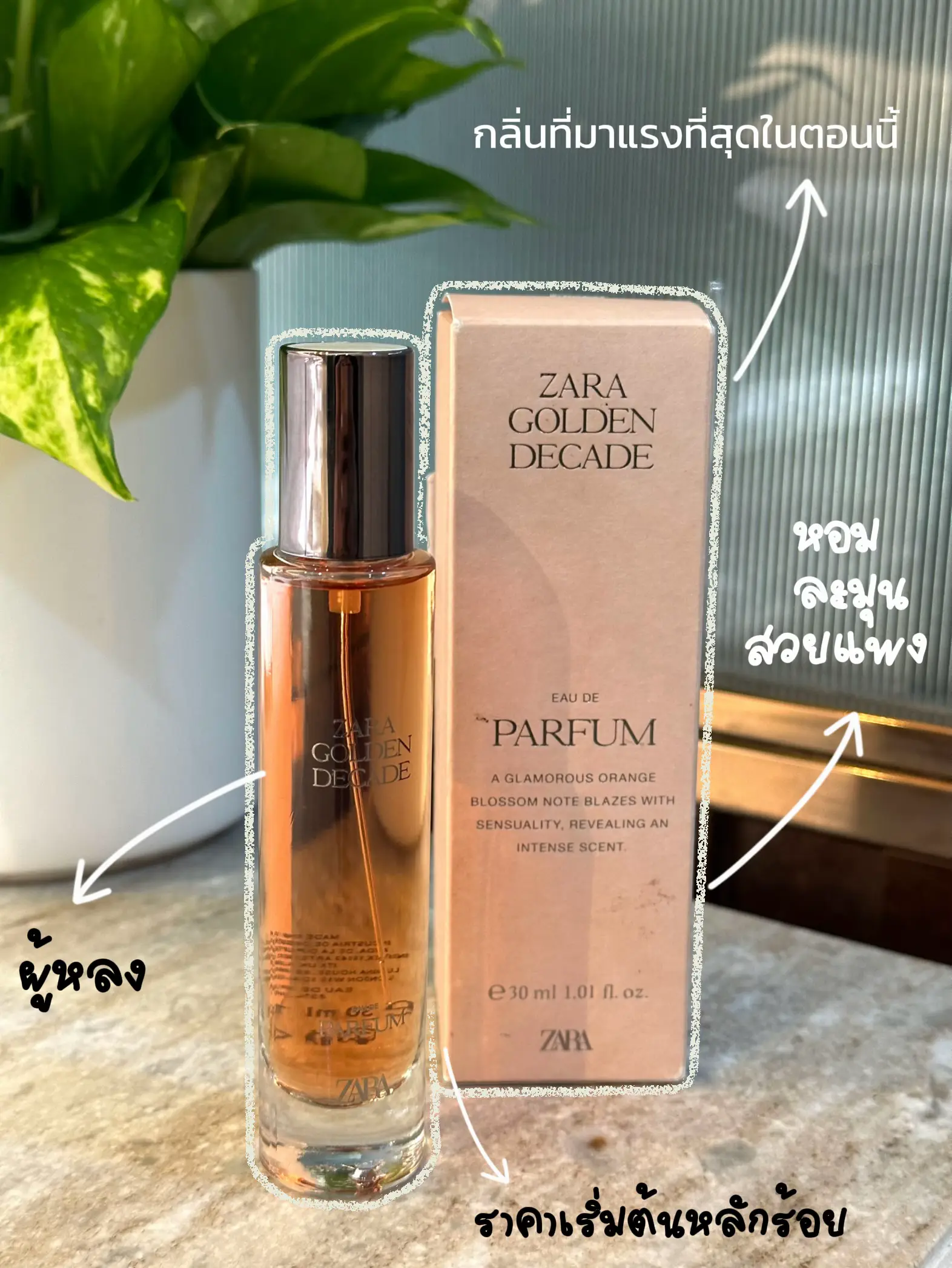 Most long discount lasting zara perfume