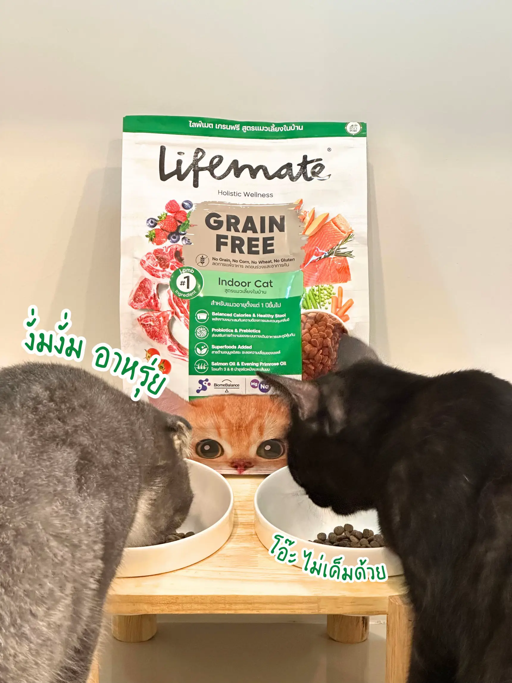 Lifemate cat food is not salty because sodium is low. Beautiful